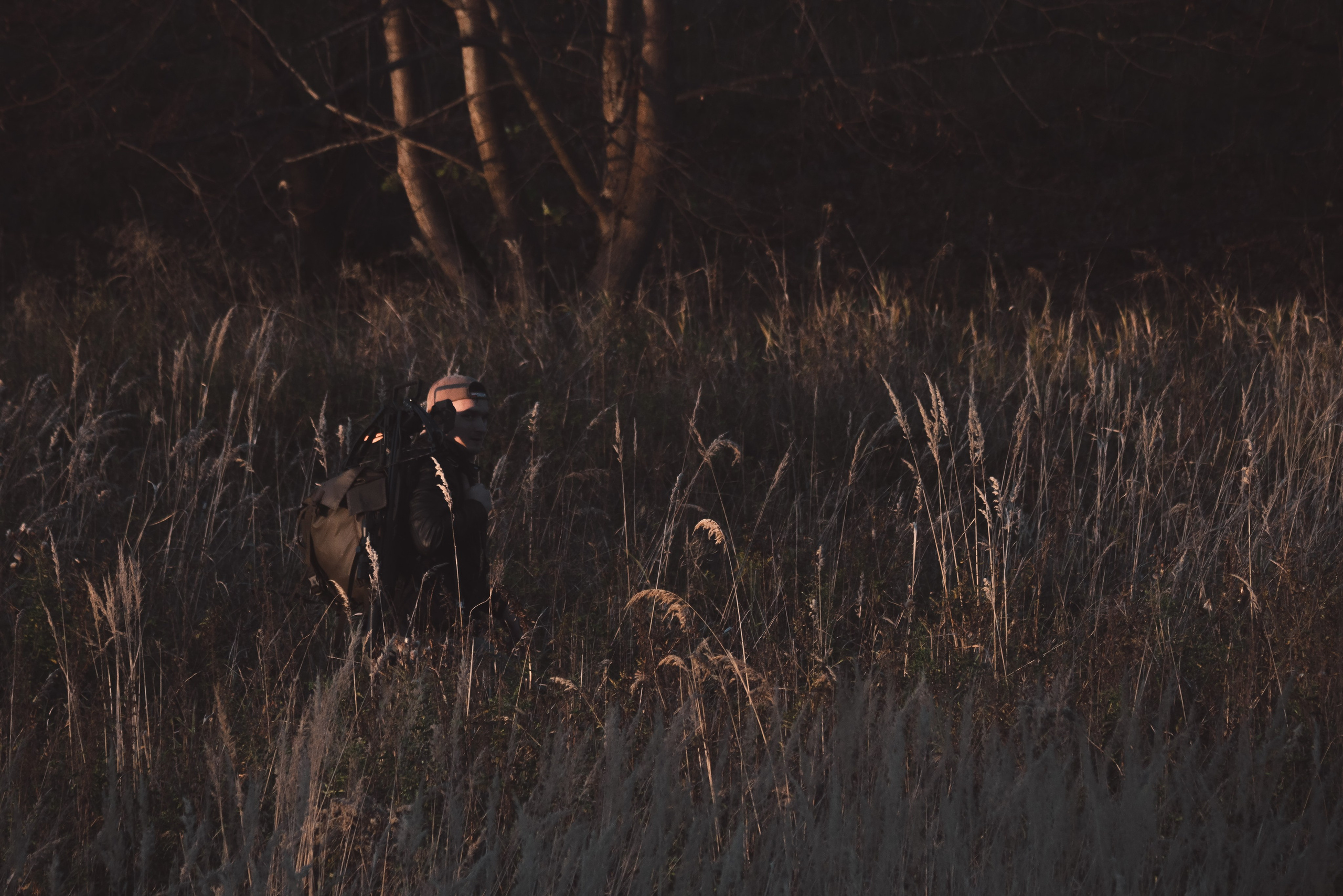 Никита П. (Daryl Dixon). — Digital Noise —