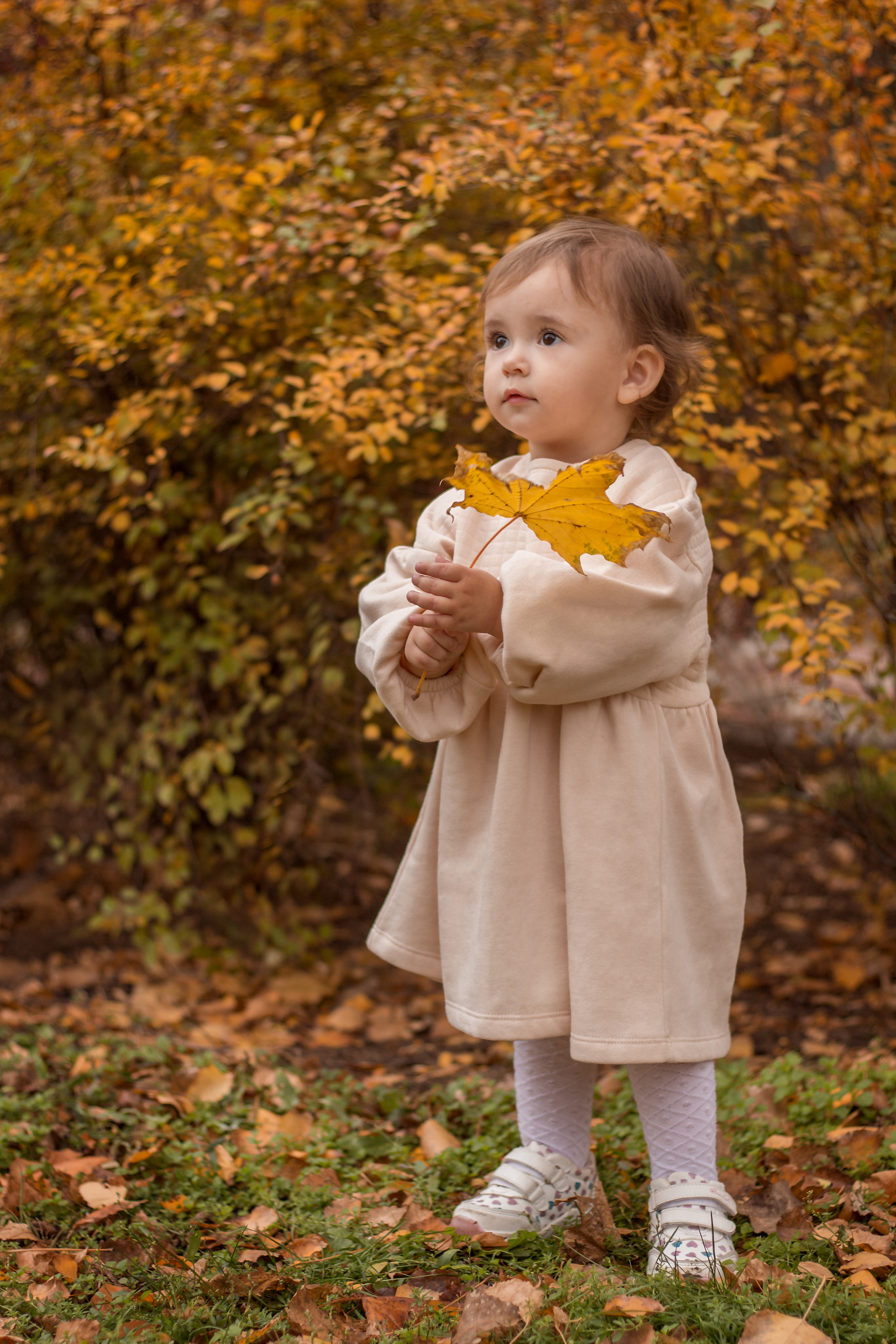 Детская съемка. Семейный и детский фотограф Виктория Умаева