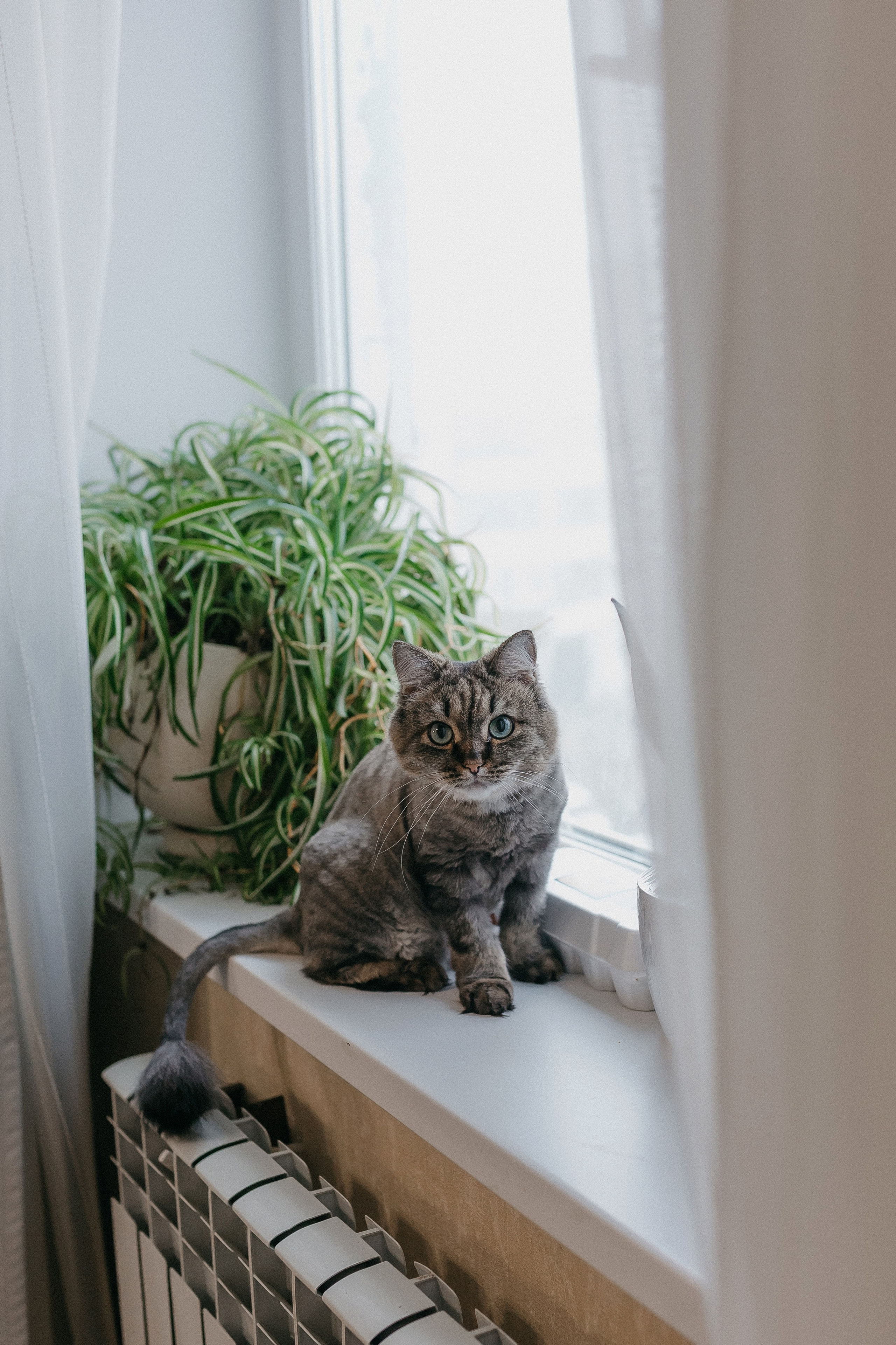 Вкусный завтрак. Семейный фотограф в Сургуте