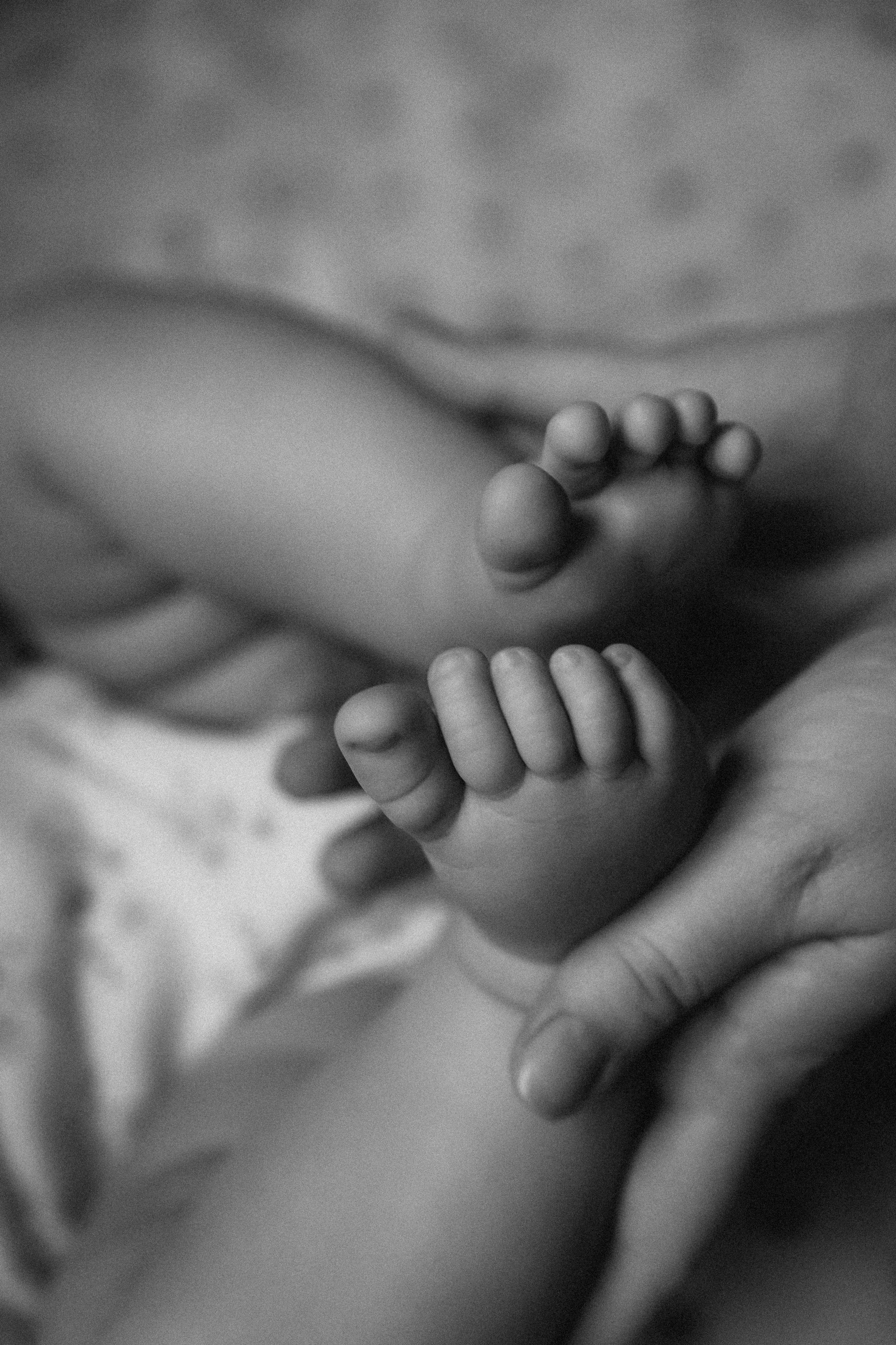 Маргарита, Дима и Лера. Семейный фотограф Минск Усова Ольга