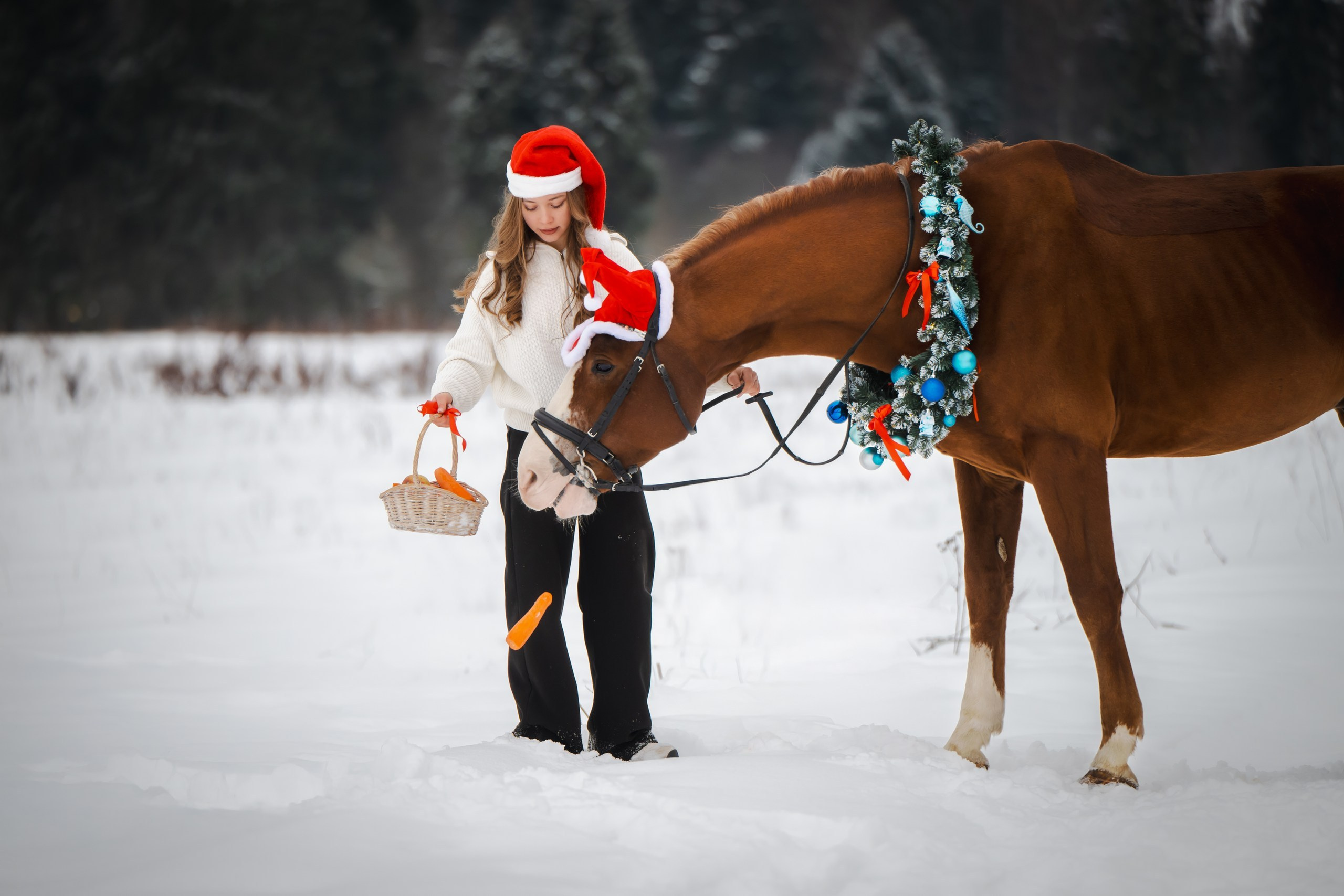 Виктория и Лео. Фотограф Анималист в Москве Анастасия Жучкова