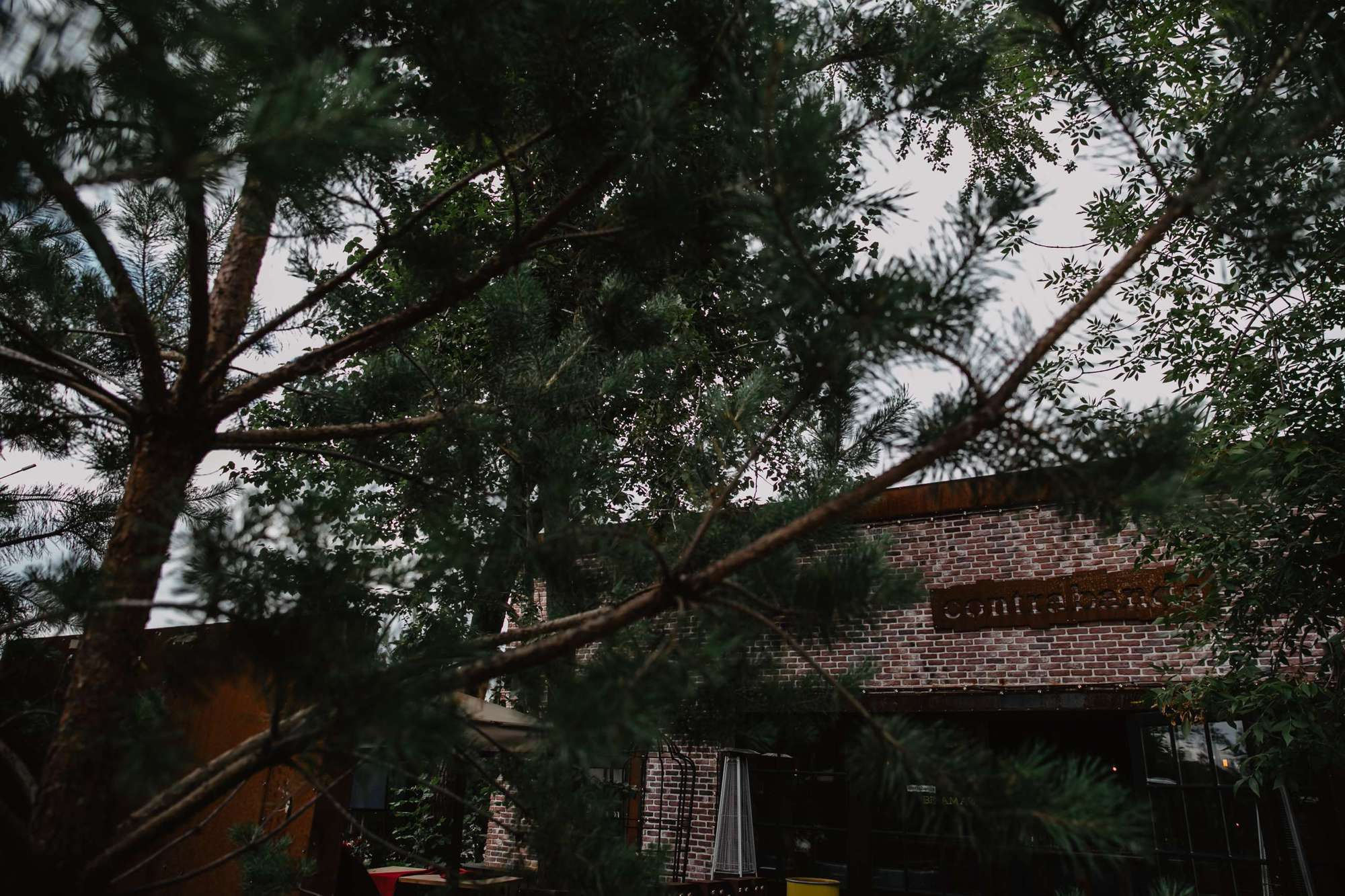 Саша и Маргарита. Лофт Контрабанда. Свадебный фотограф Марина Назарова Москва