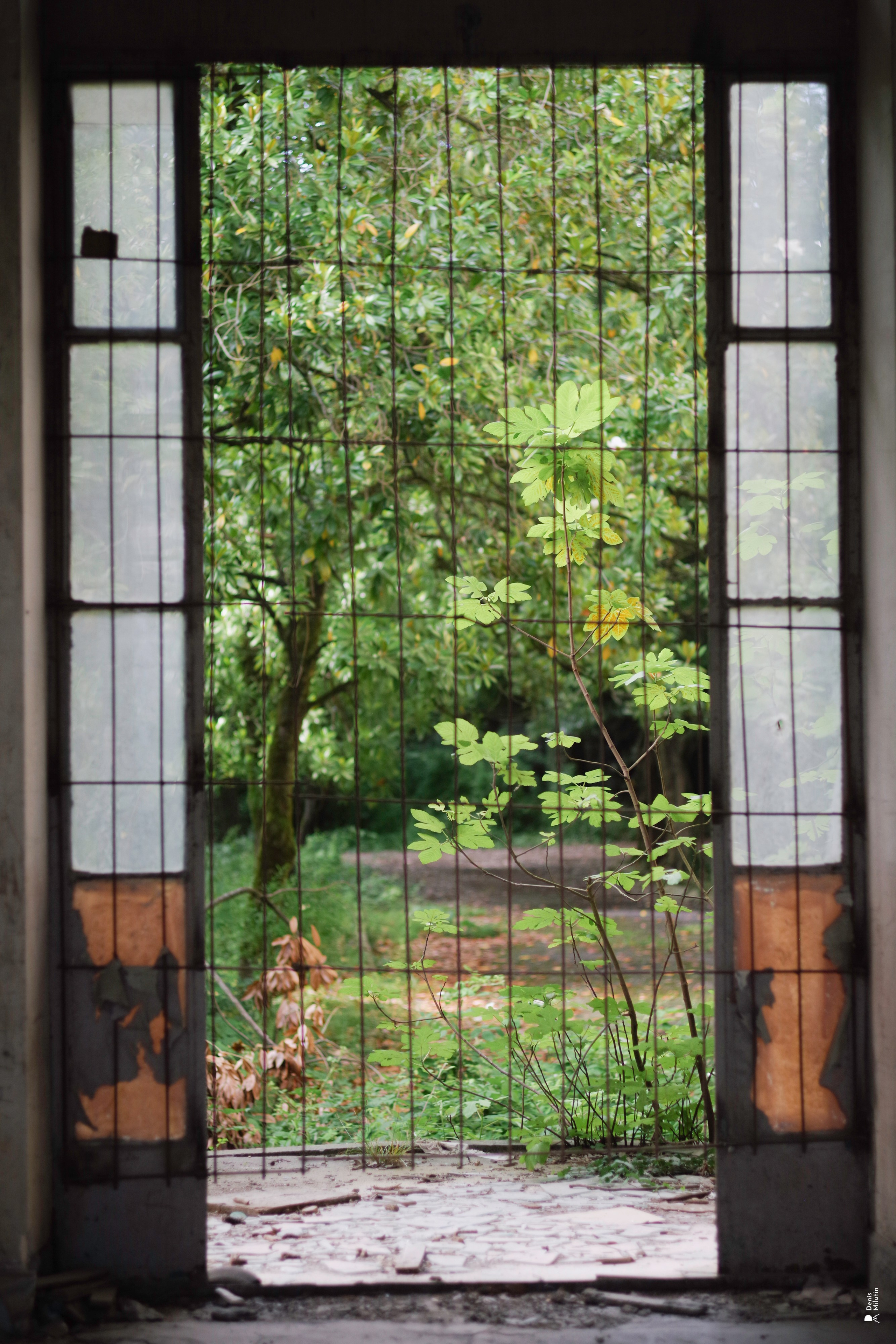 В отпуске с Артёмом. Портретный фотограф Денис Милютин