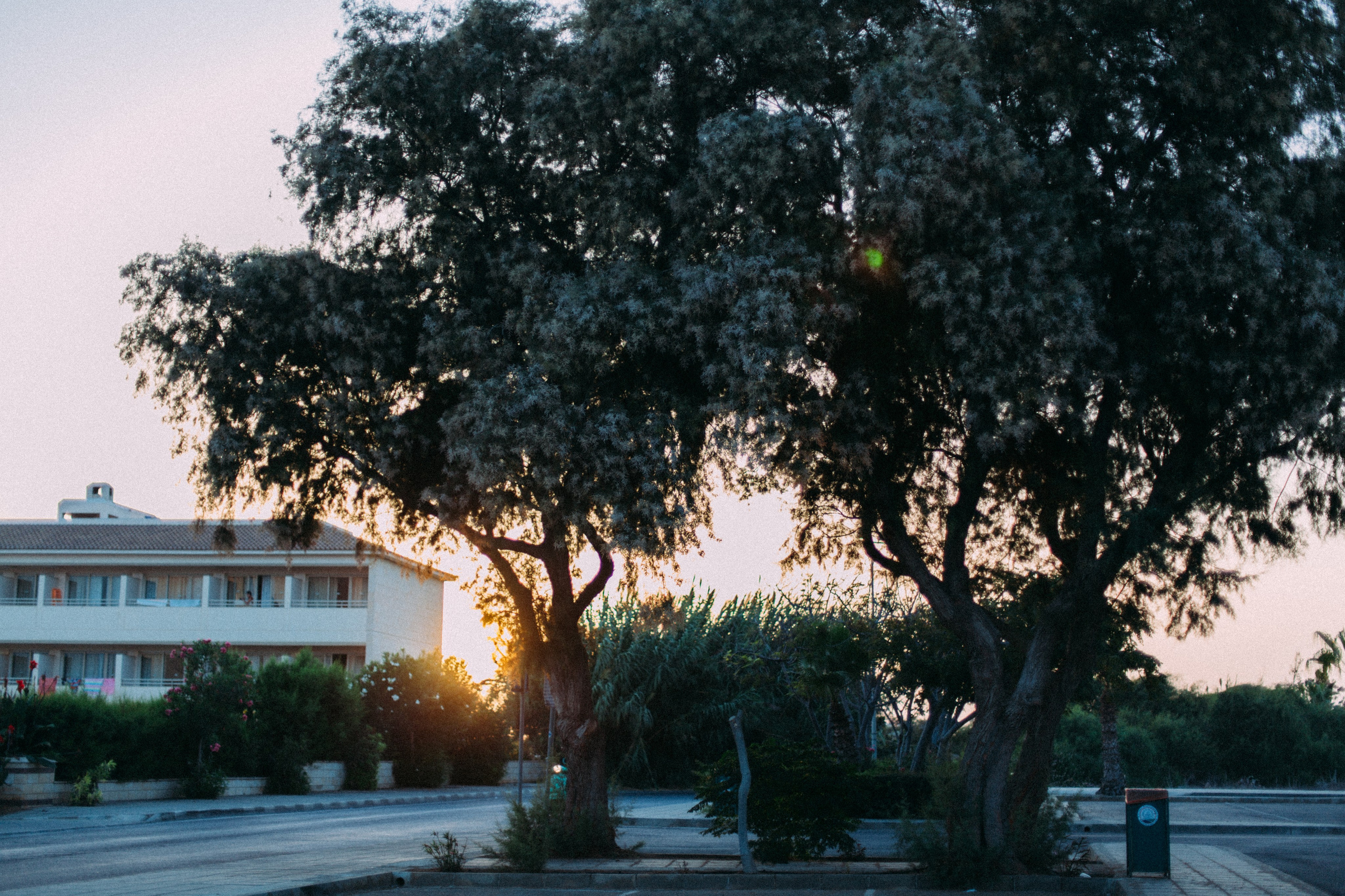 Кипр. Аня Степанова