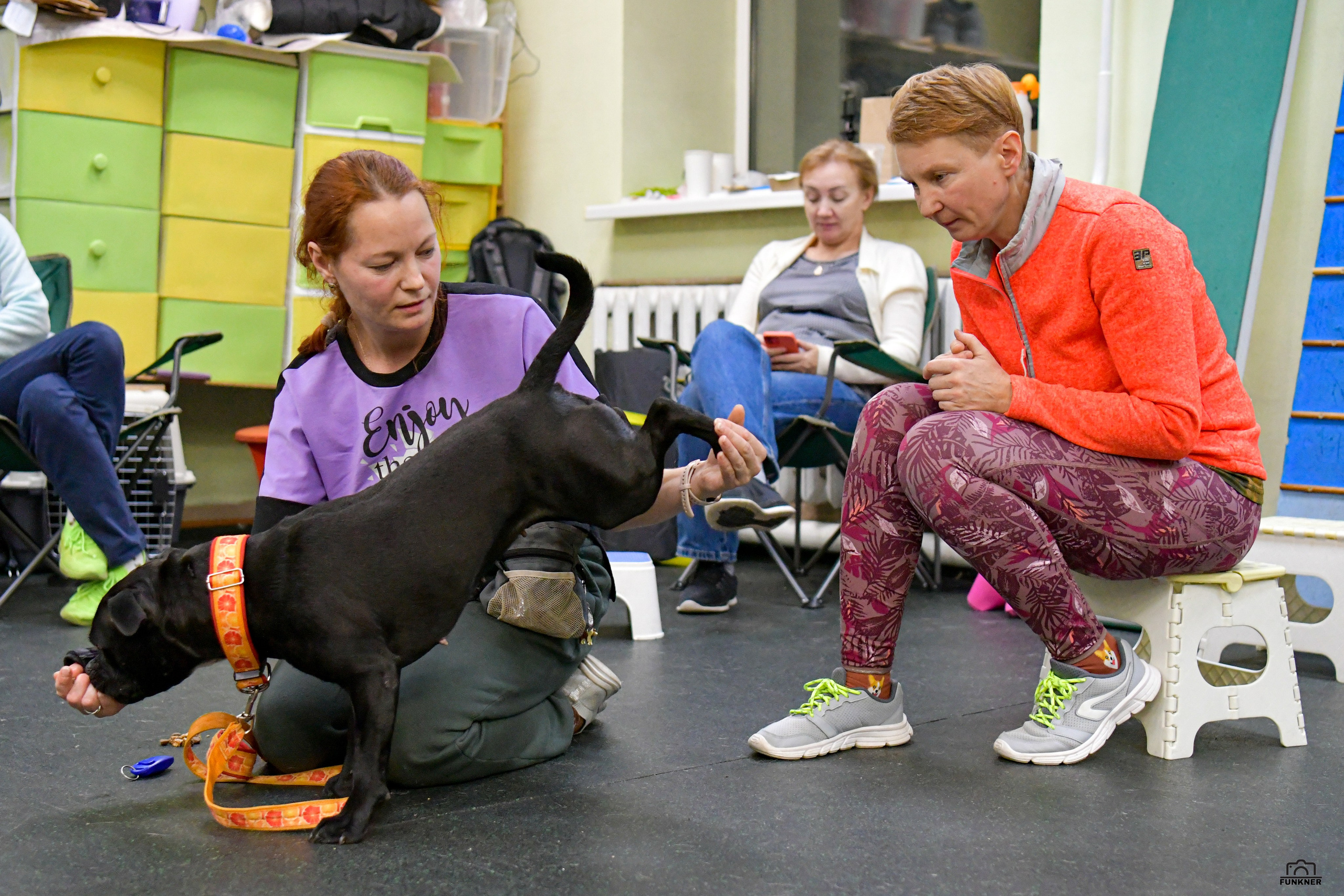 Кинологический клуб «Бодрый хвост». Свой взгляд через объектив