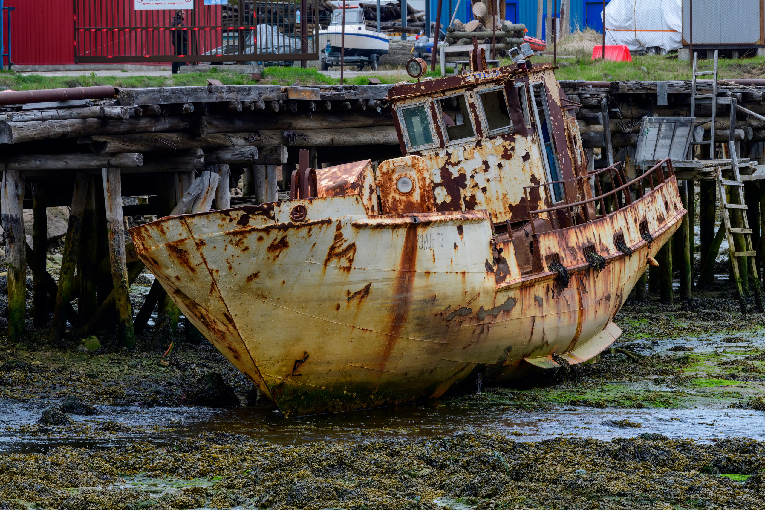 Мурманская область. Июнь 2024. Фотограф Сергей Пупонин