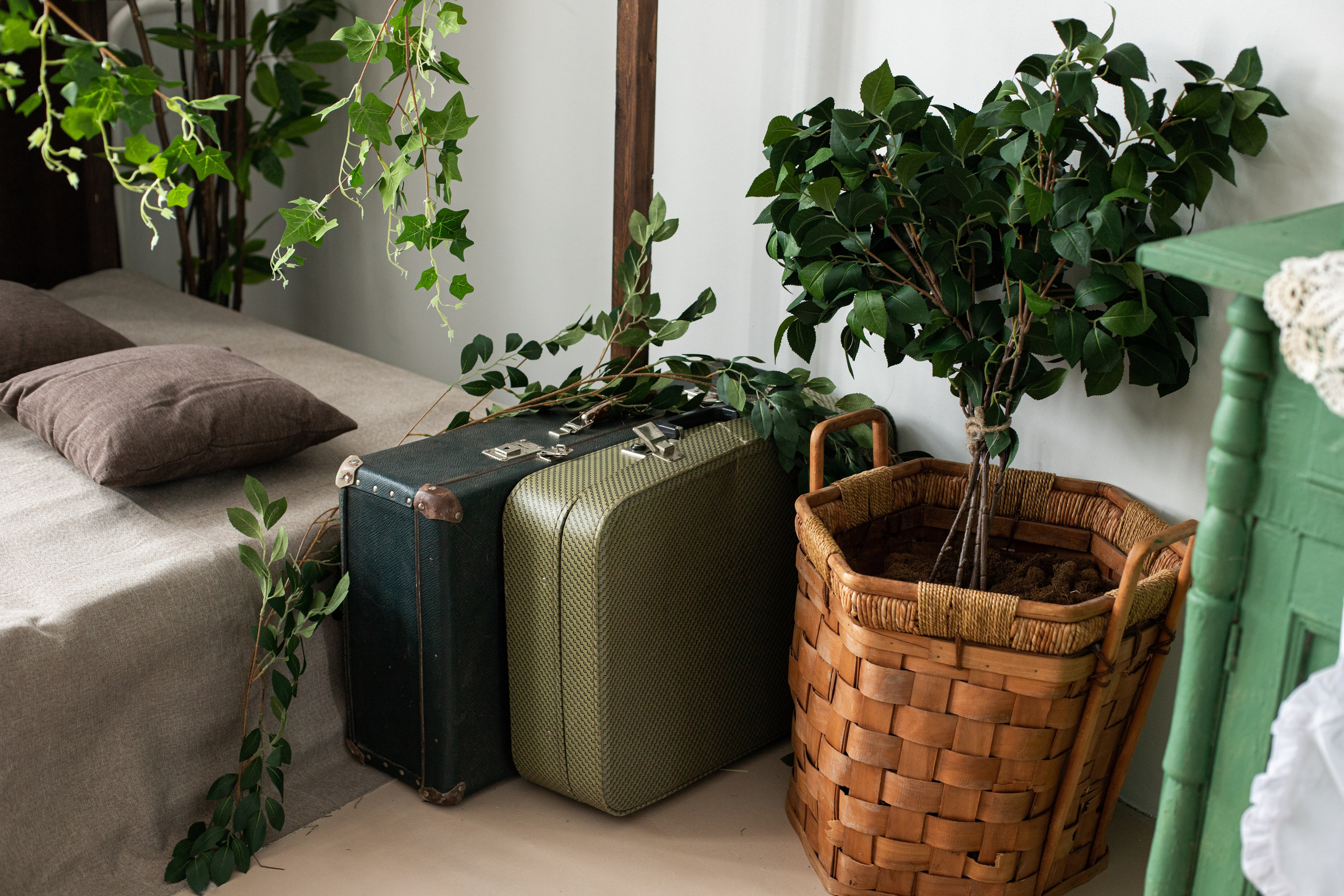 Буфет (студия Зеркало). Фотограф г. Хабаровск. Семейные и индивидуальные съёмки