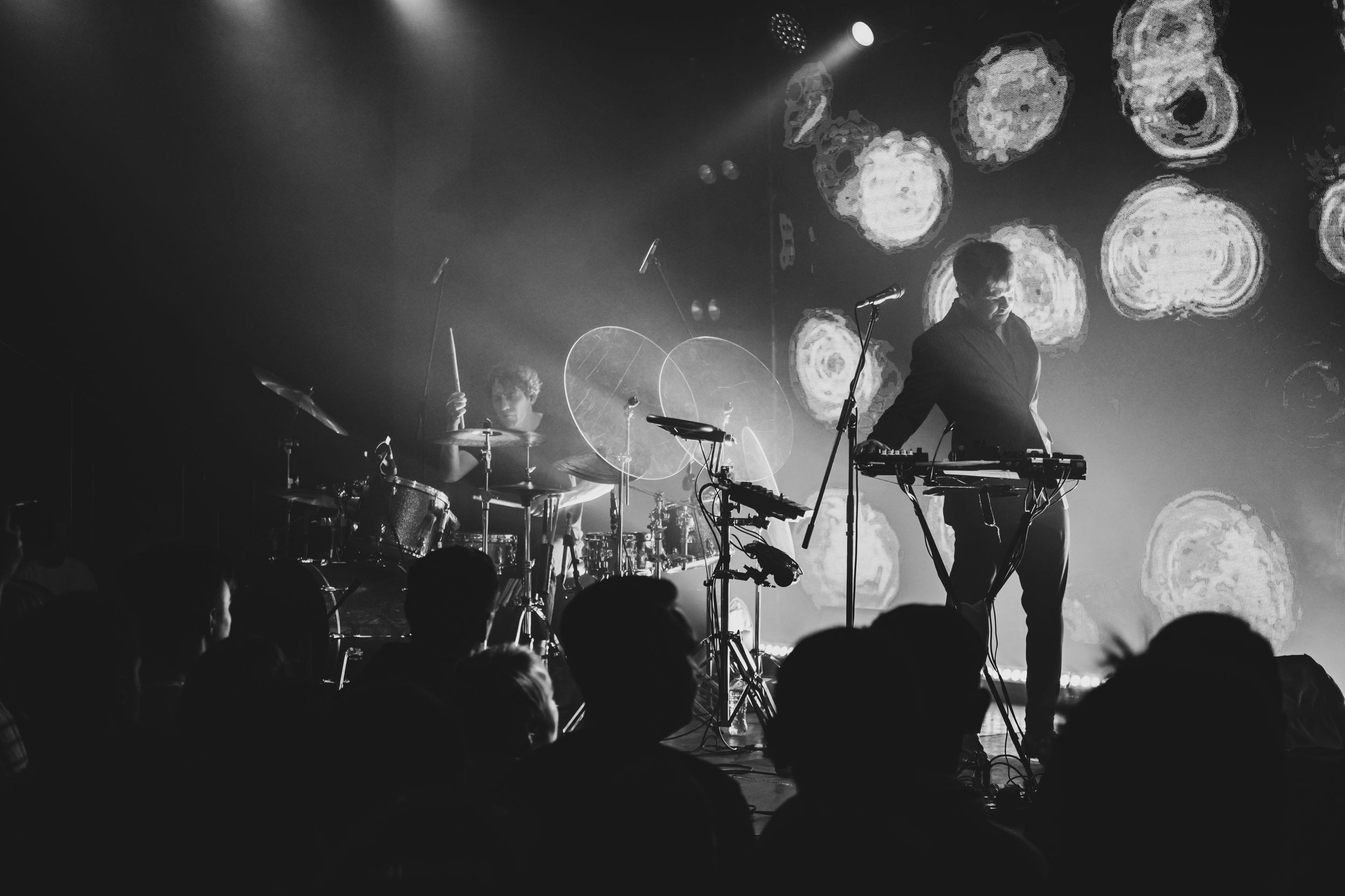 Дельфин. Репортажный фотограф Алексей Пирязев