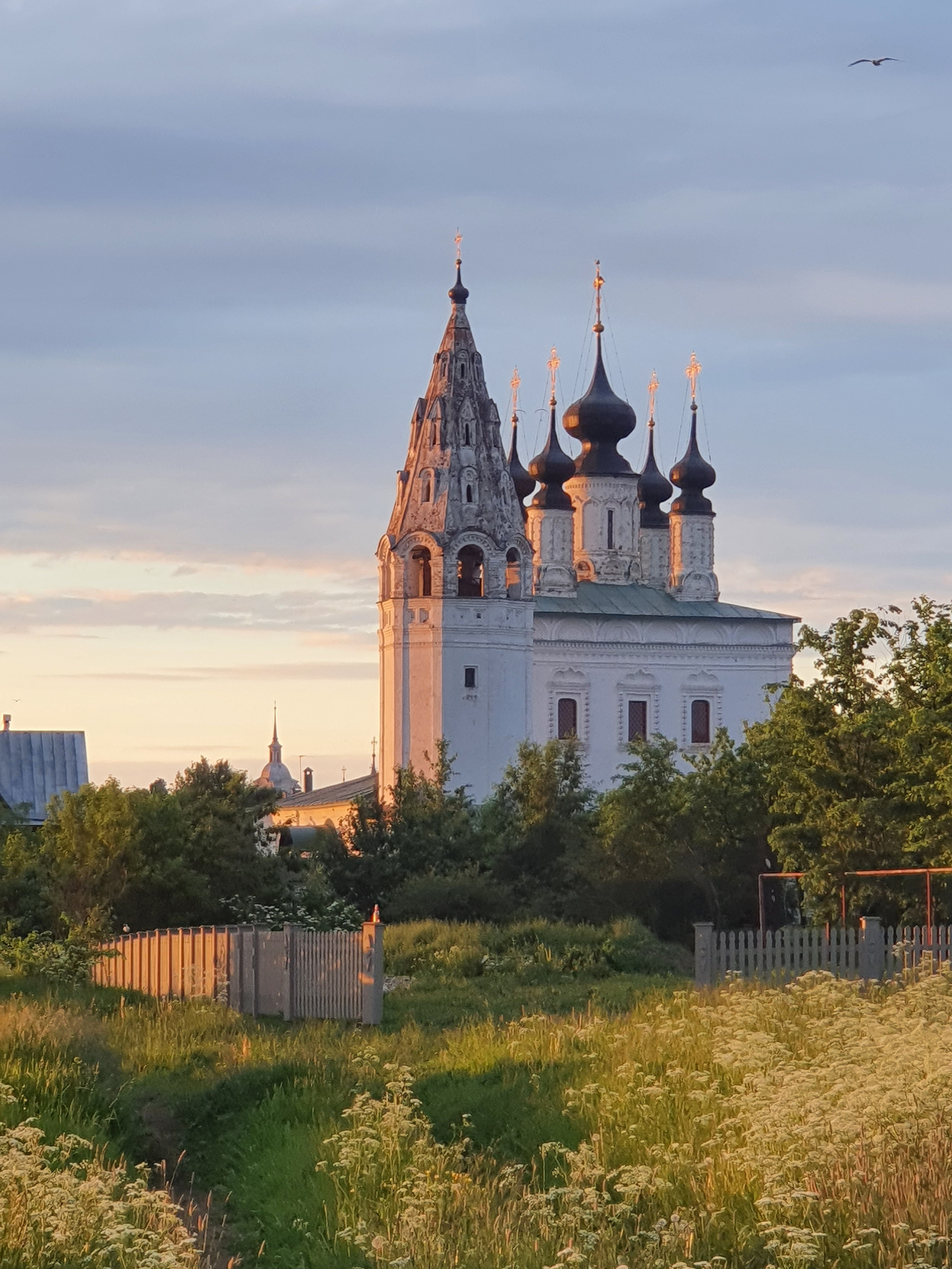Интересные фотографии с мобильного телефона. Фотограф в Москве и Подмосковье, Николай Сорокин