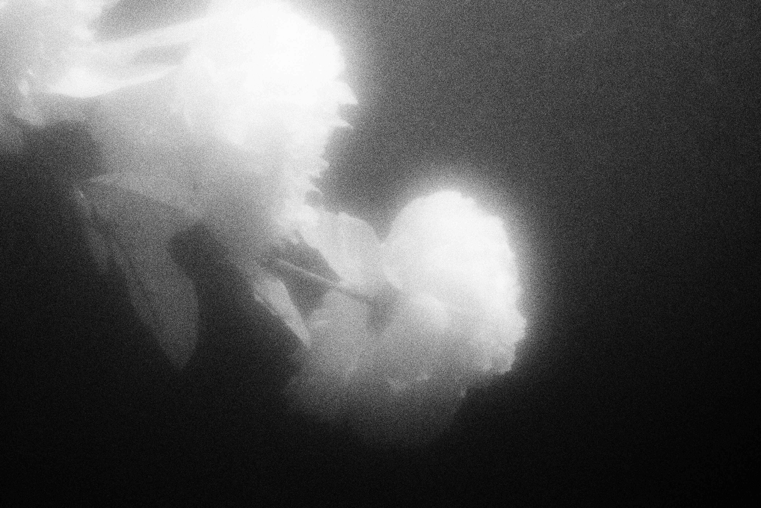 «Видеть. Чувствовать. Сохранять»