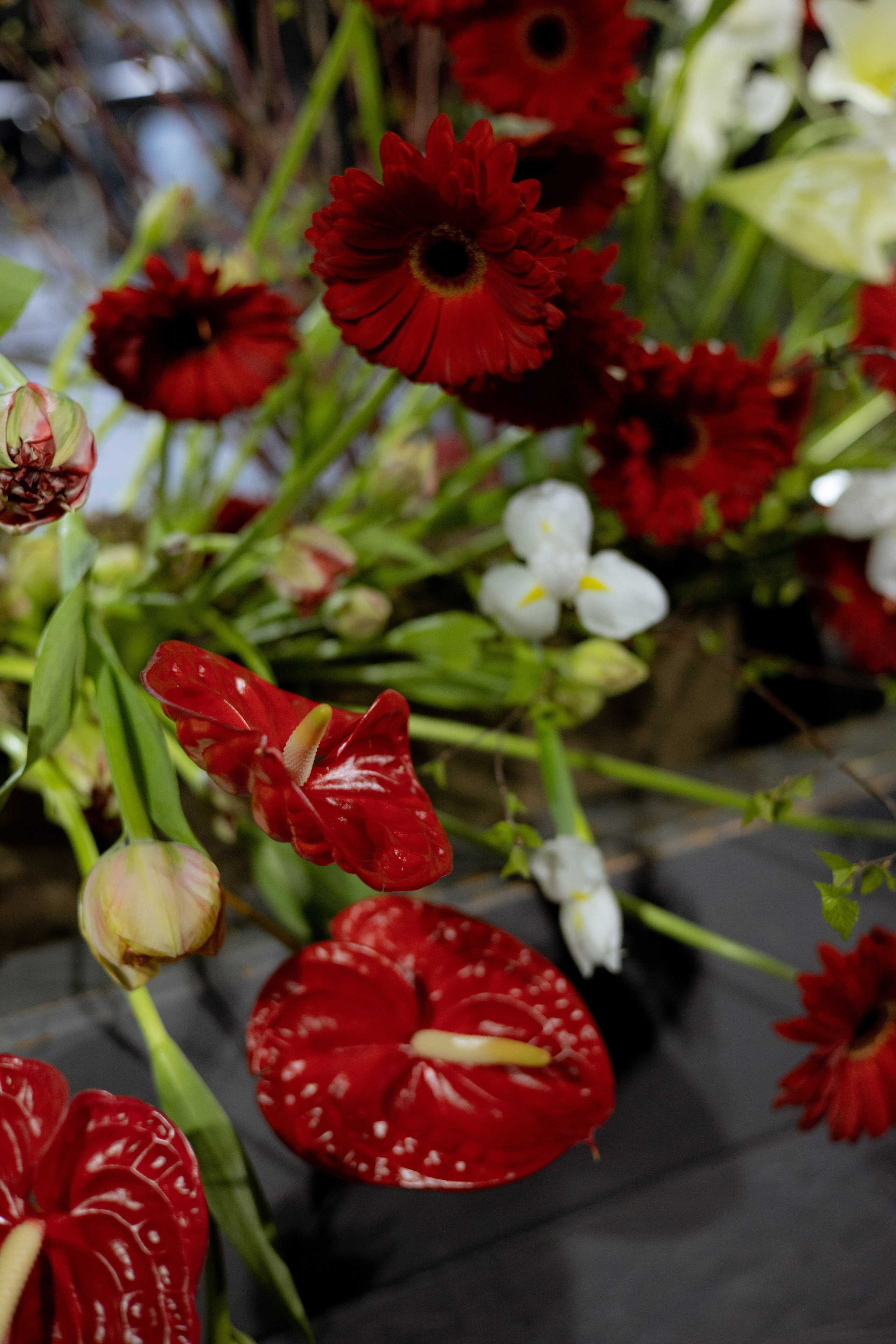 Оформление Отчетного концерта Музыкальной школы Глазунова. Оформление свадеб, декор свадеб Вера Маркова, Москва