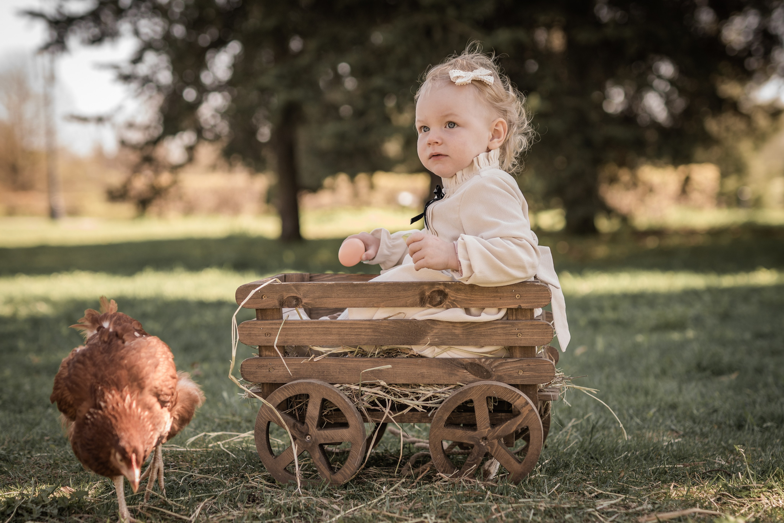 Куриные истории. Семейный фотограф Ефремова Виктория