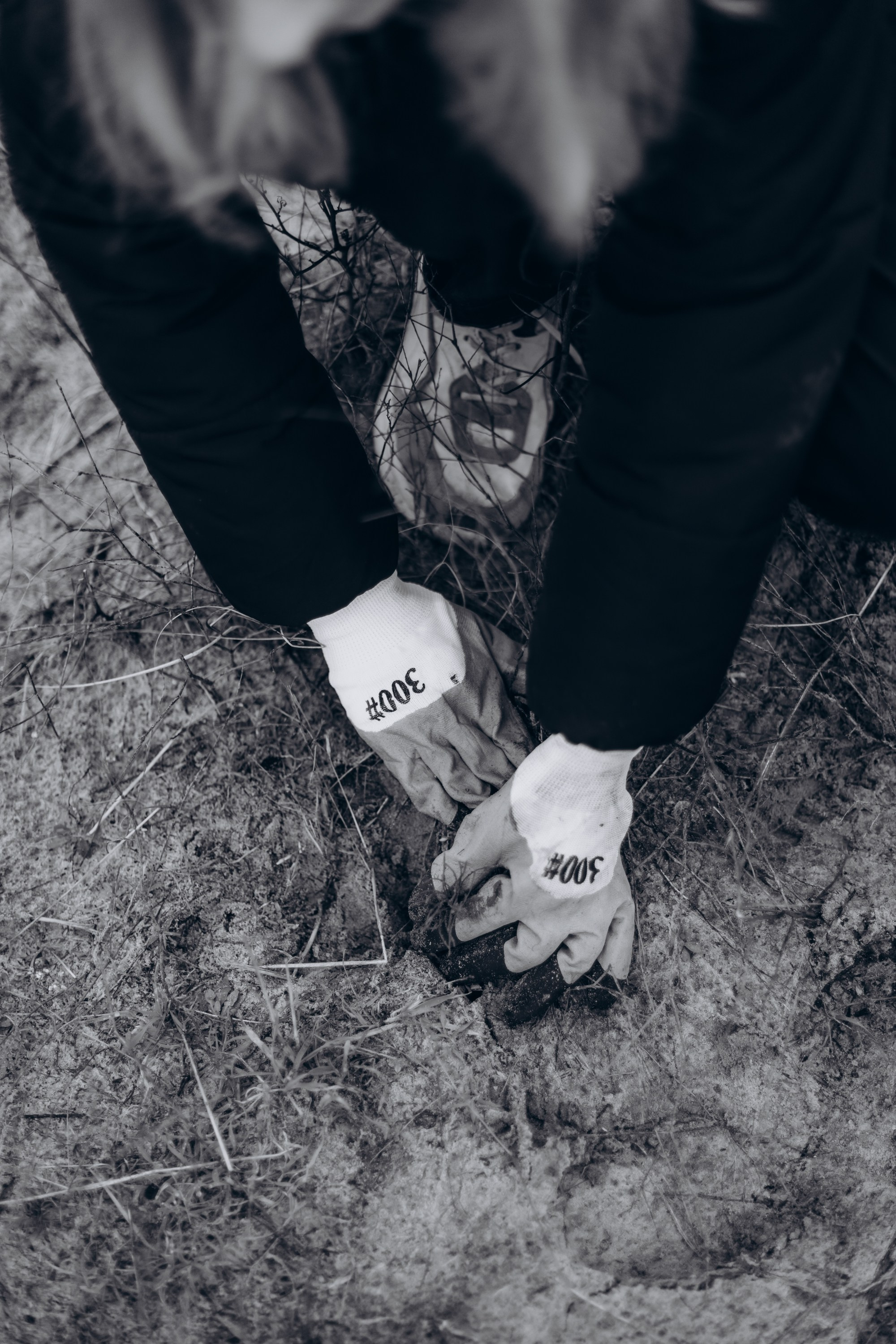 Акция «Лес будущего». Артём Панфилов — Свадебный и семейный фотограф в Ростове-на-Дону