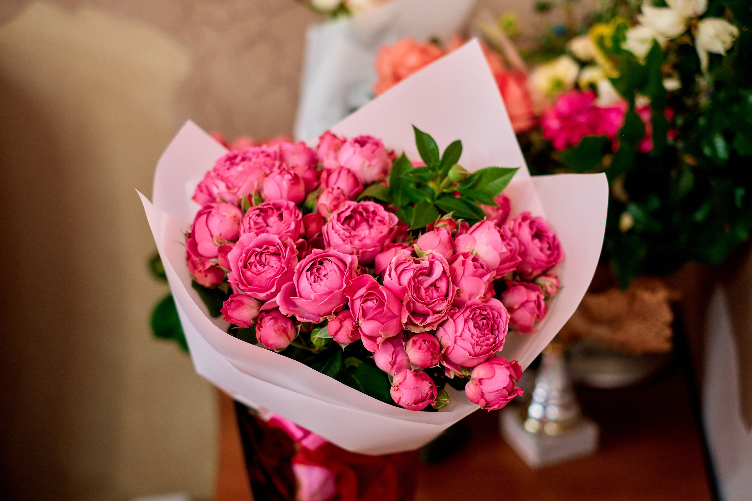 Открытие туристической компании «Розовый слон». Фотограф Таганрог Анна Трайжон