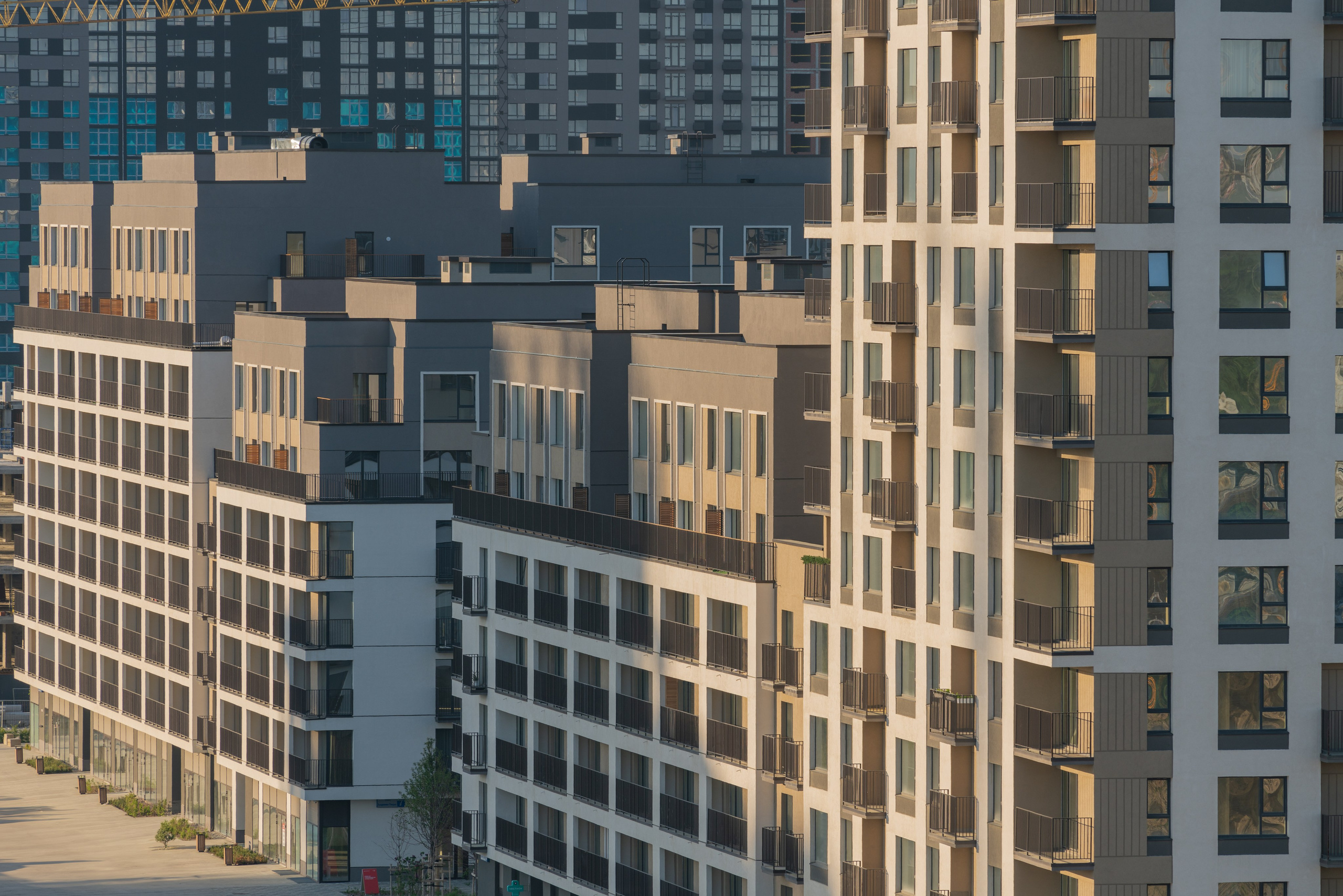 На Академическом | Брусника. Архитектурный фотограф Кирилл Цыбенко. Работаю в Москве, по всей России и Миру