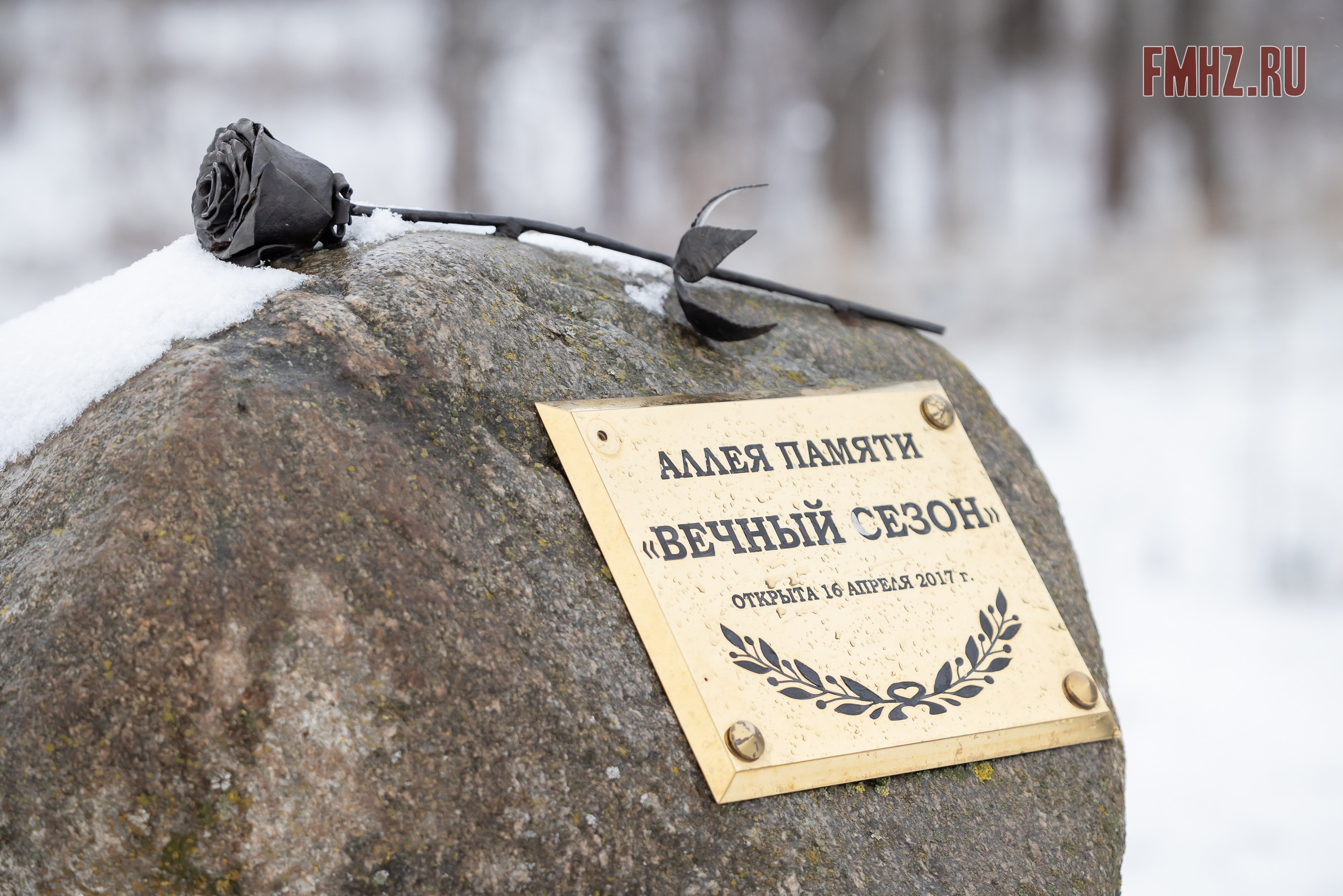 Масленица на аллее памяти «Вечный сезон» 02.03.2025. Фотограф Владимир Охрименко