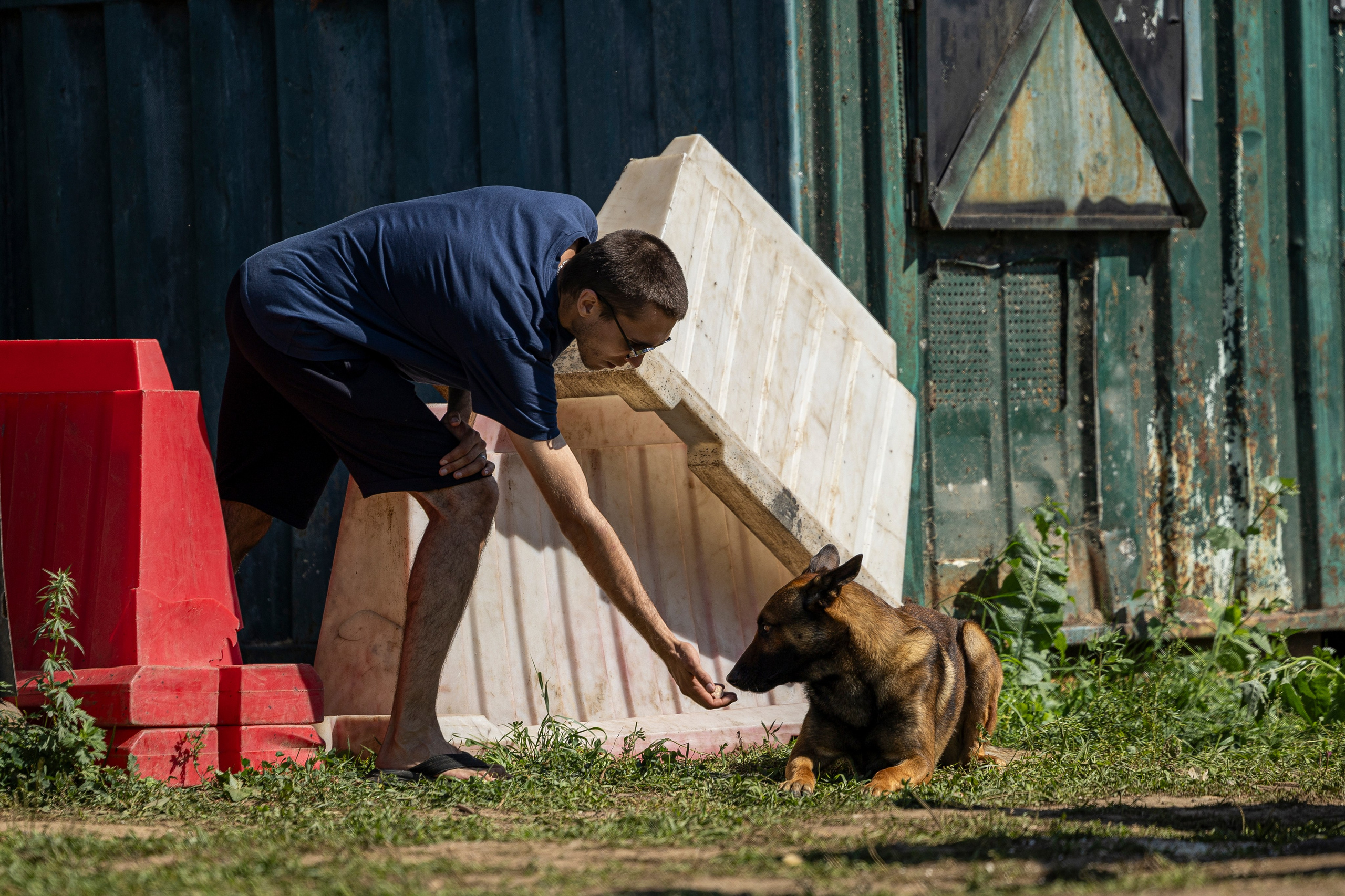 Соревнования по Мондьорингу г. Вологда 10-11.08.2024. Фотограф-анималист Анна Маринич
