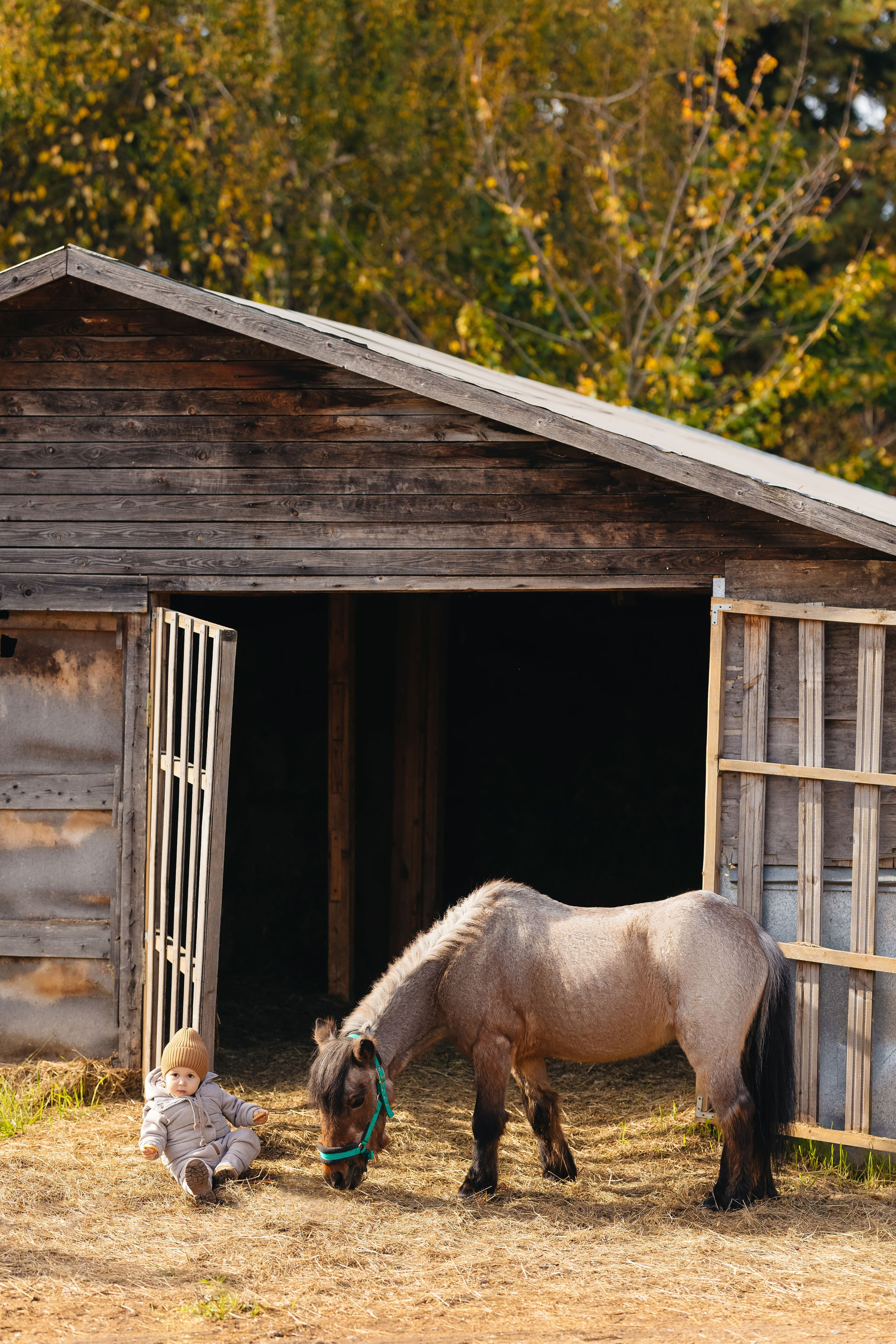 2024.10.02 Илья и лошадка. Ирина Бешляга. Фотограф в Москве и по всей России