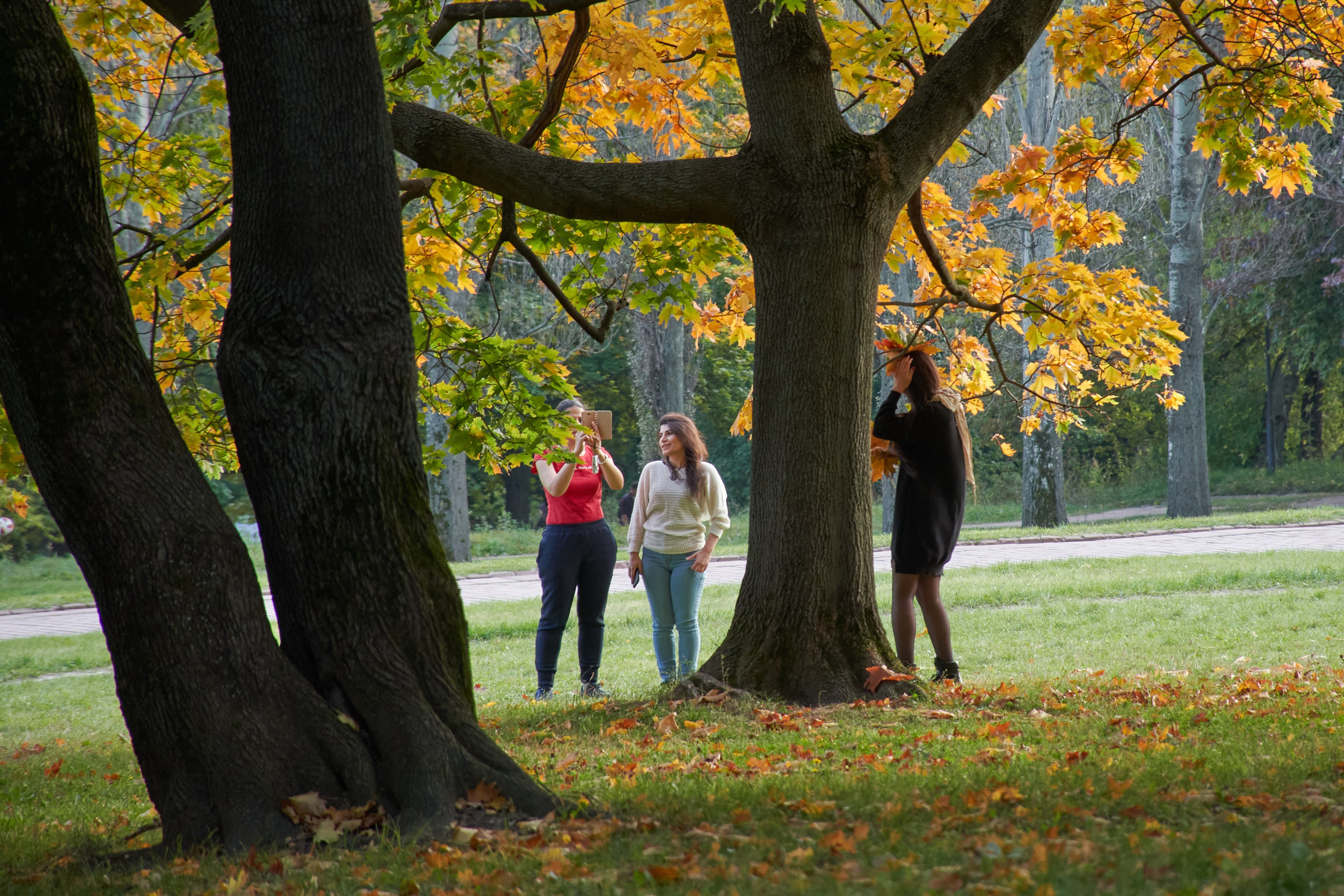 20200927 Коломенское. Дмитрий Ремизов. Фотография, как хобби