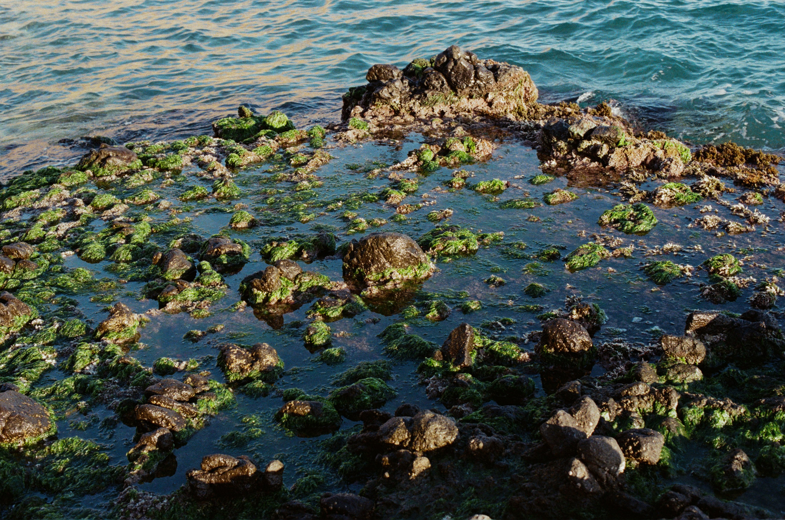 Spanish sahara // spain, cabo de gata. EVER EXPOSED