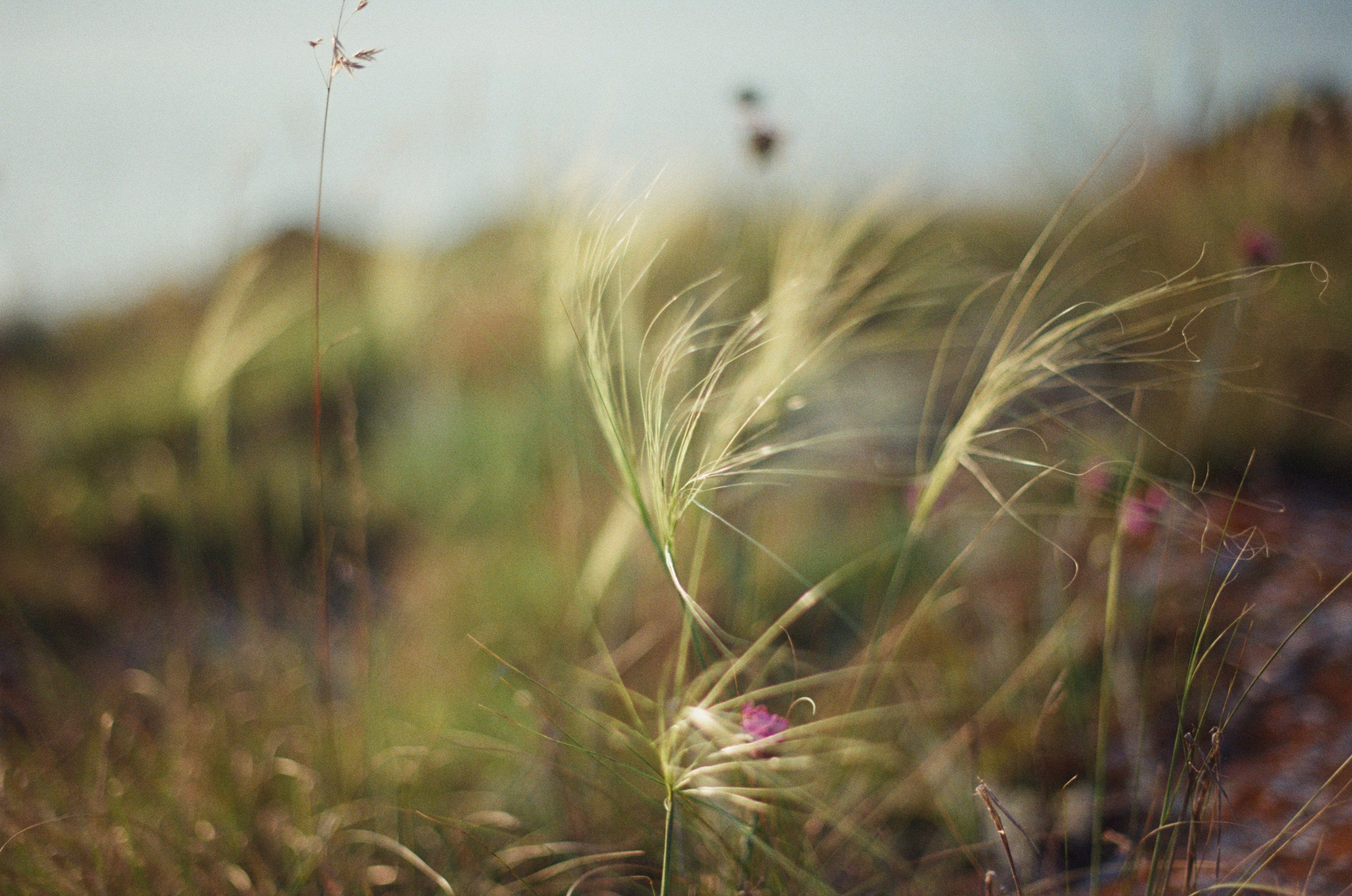 Silent running // ukraine, crimea III. EVER EXPOSED