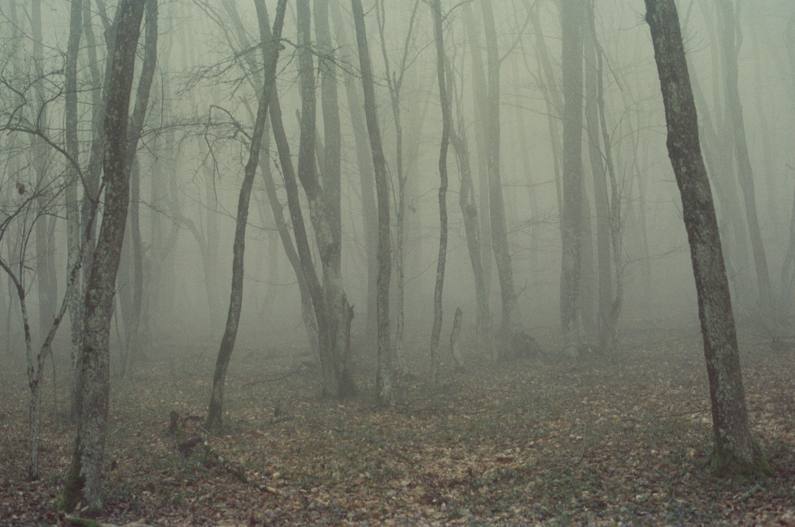 Some kind of madness // ukraine, crimea. EVER EXPOSED