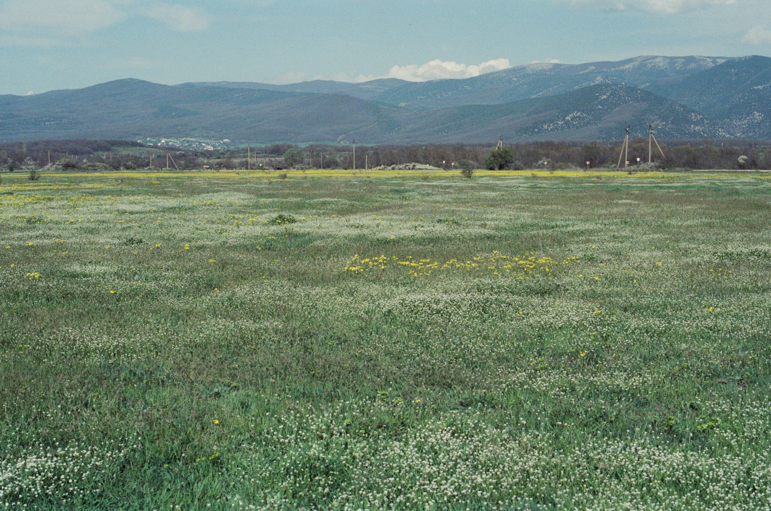 Some kind of madness // ukraine, crimea III. EVER EXPOSED