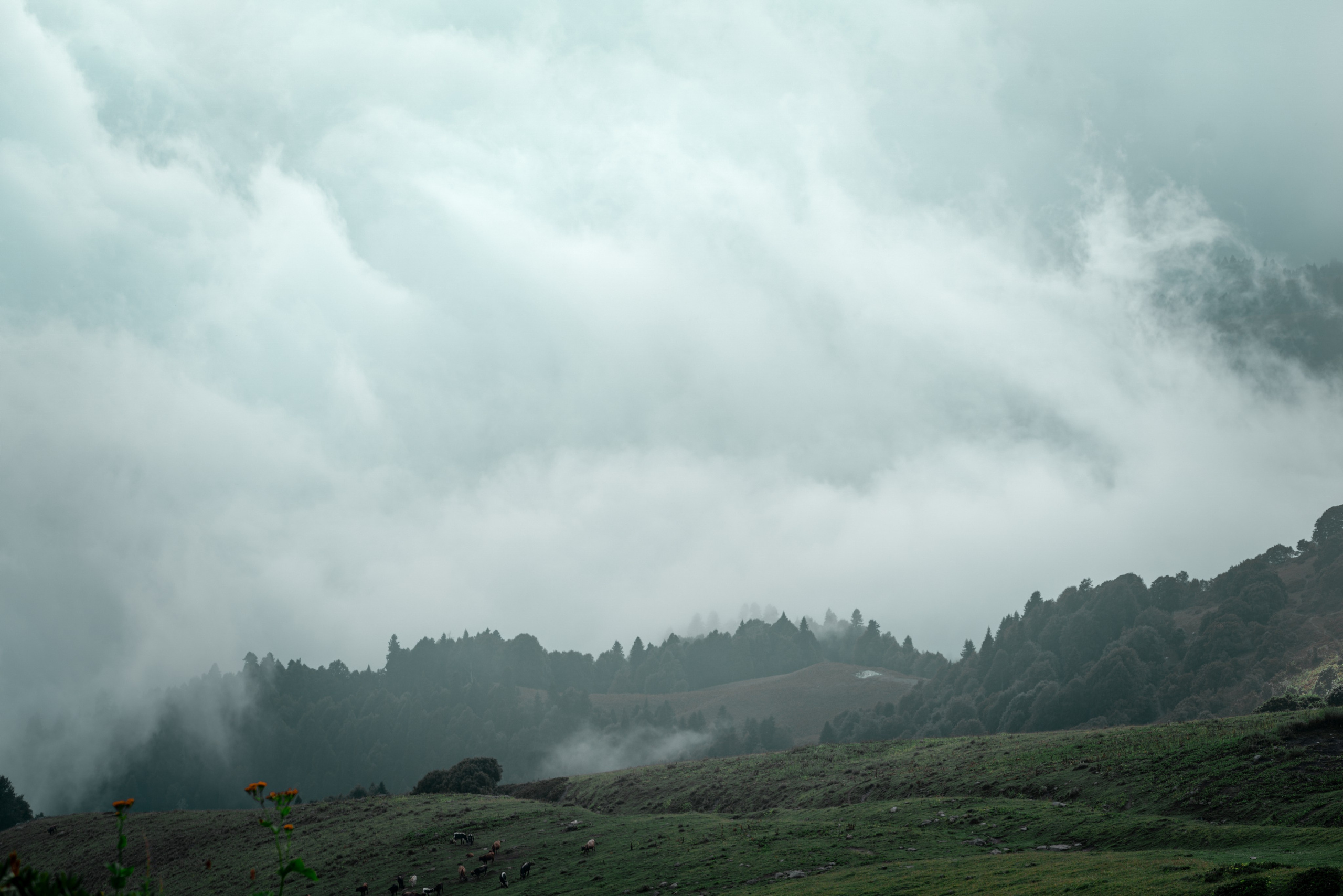 Сочи. Фотограф Александра Волкова | Волгоград