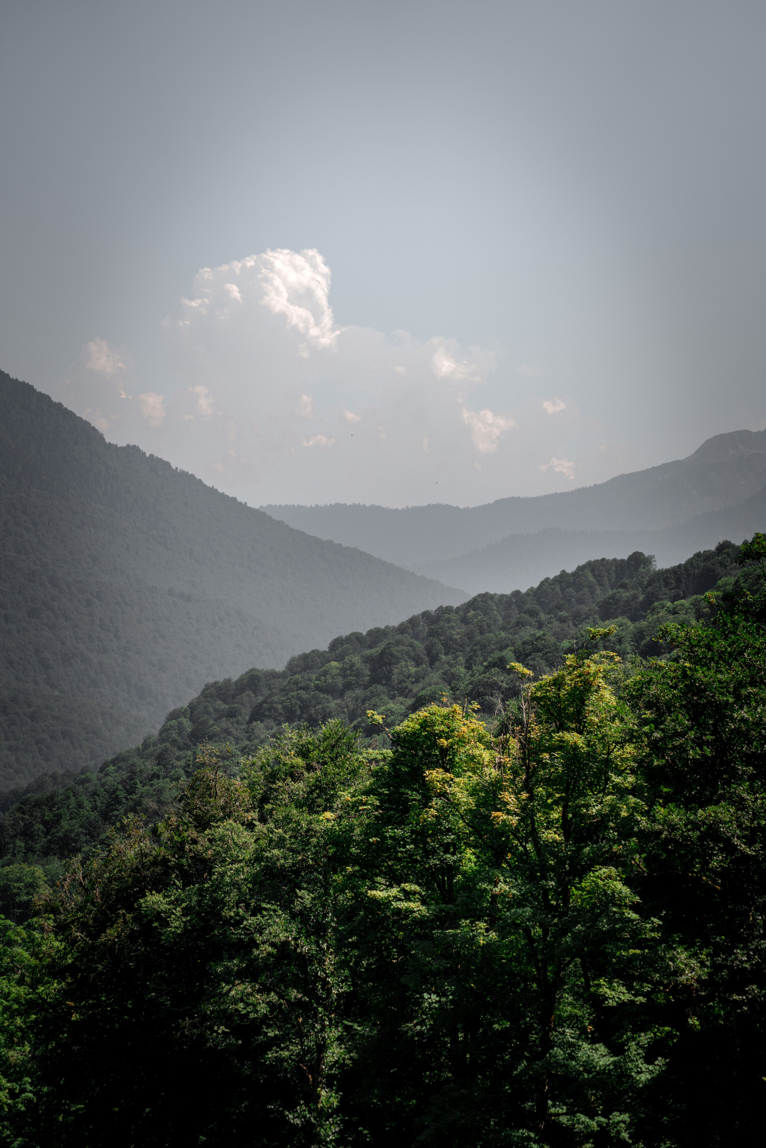 Сочи. Фотограф Александра Волкова | Волгоград