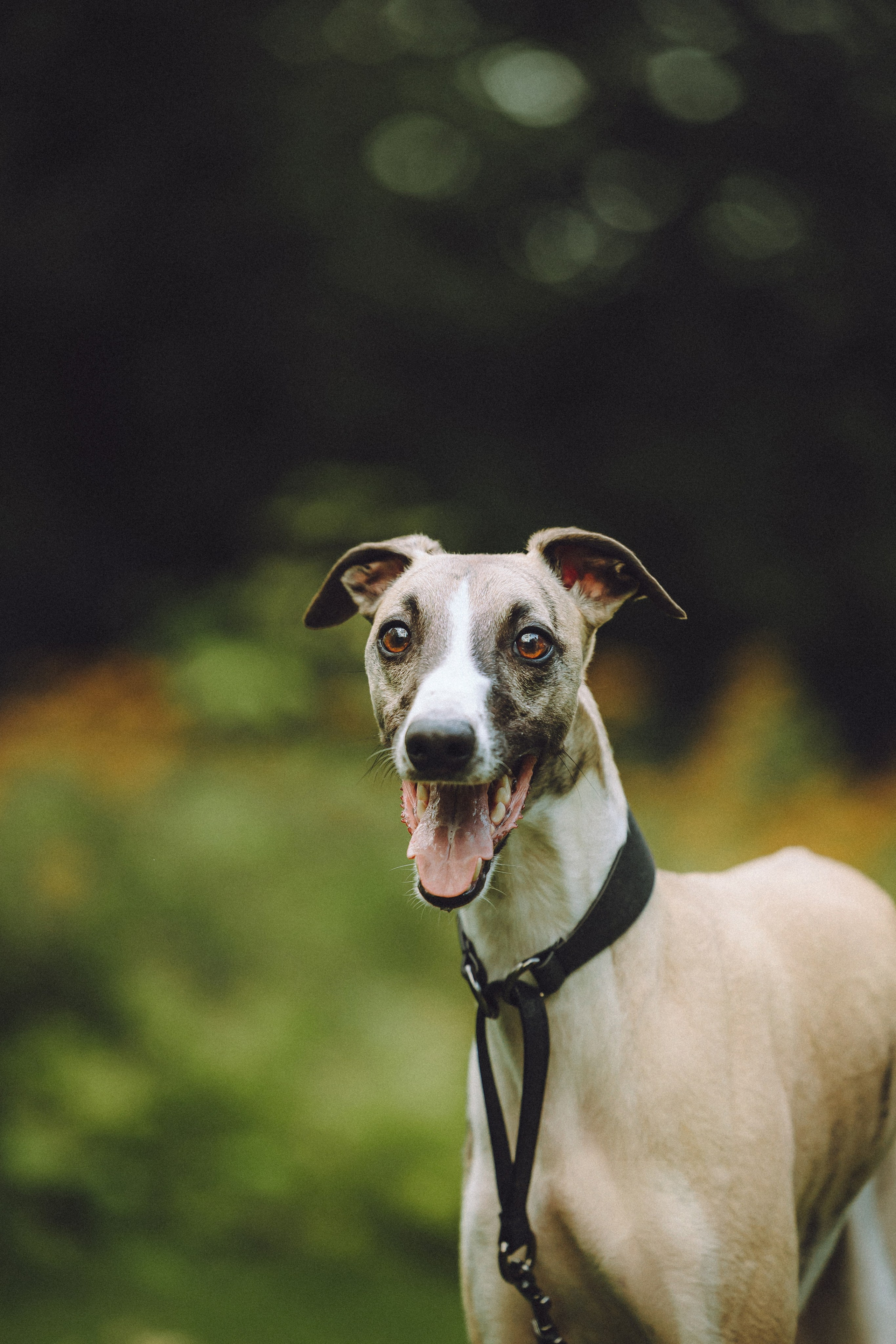 Ирина, Илья и Рик