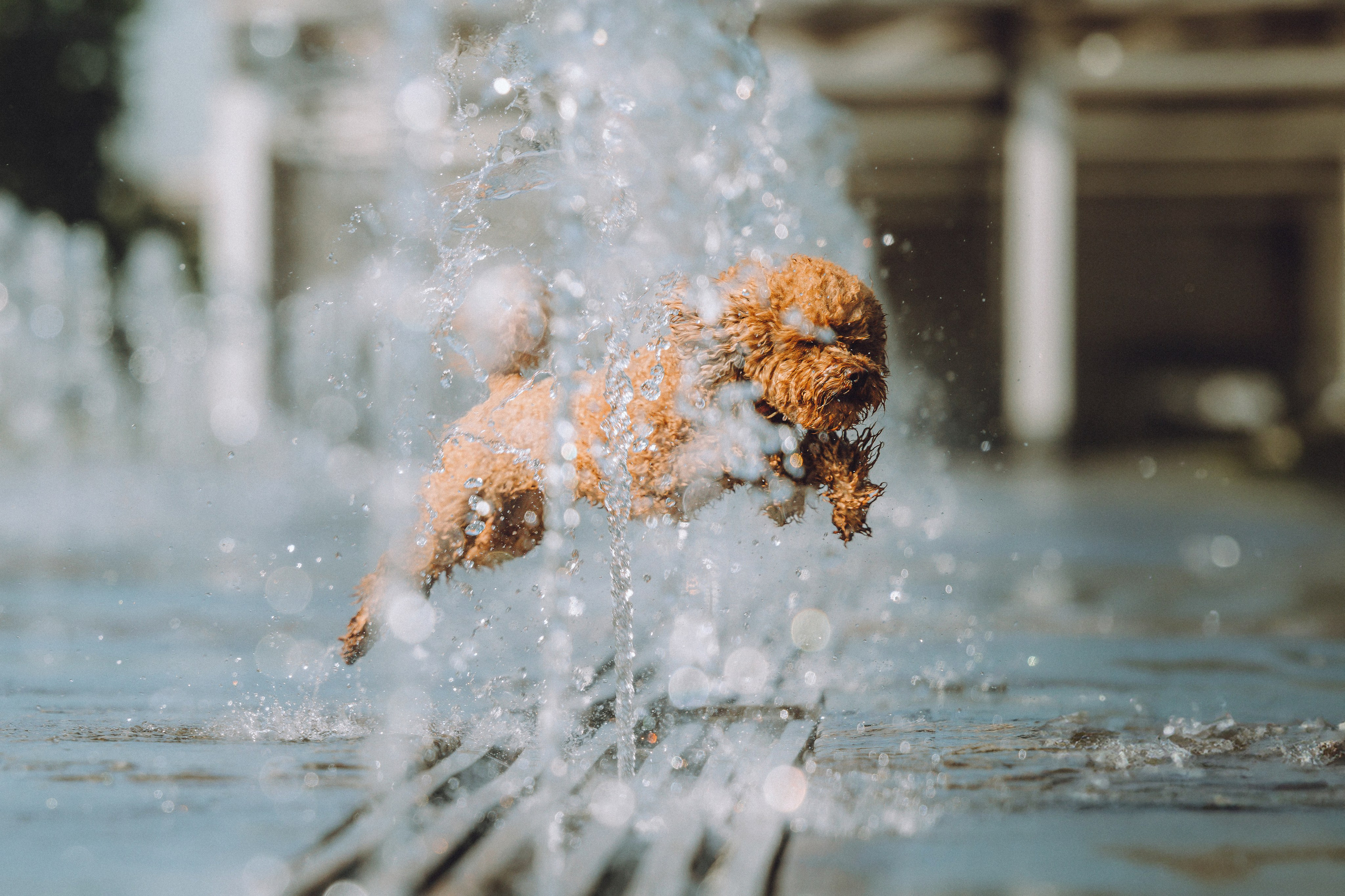 Марья и Буба