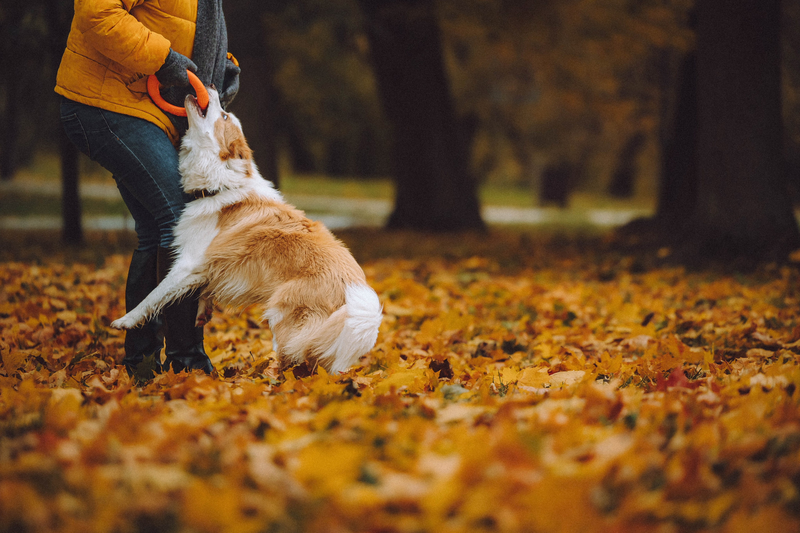 Алина, Витя и Асти