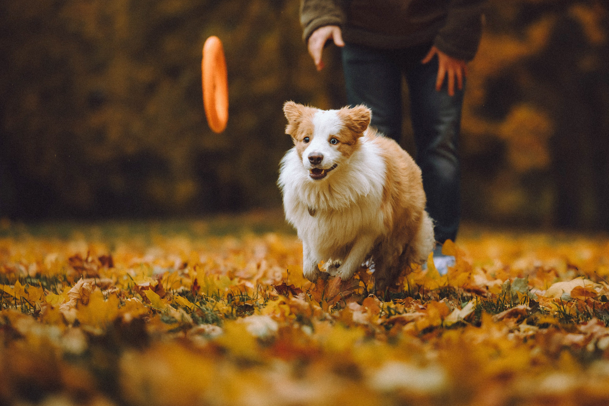Алина, Витя и Асти