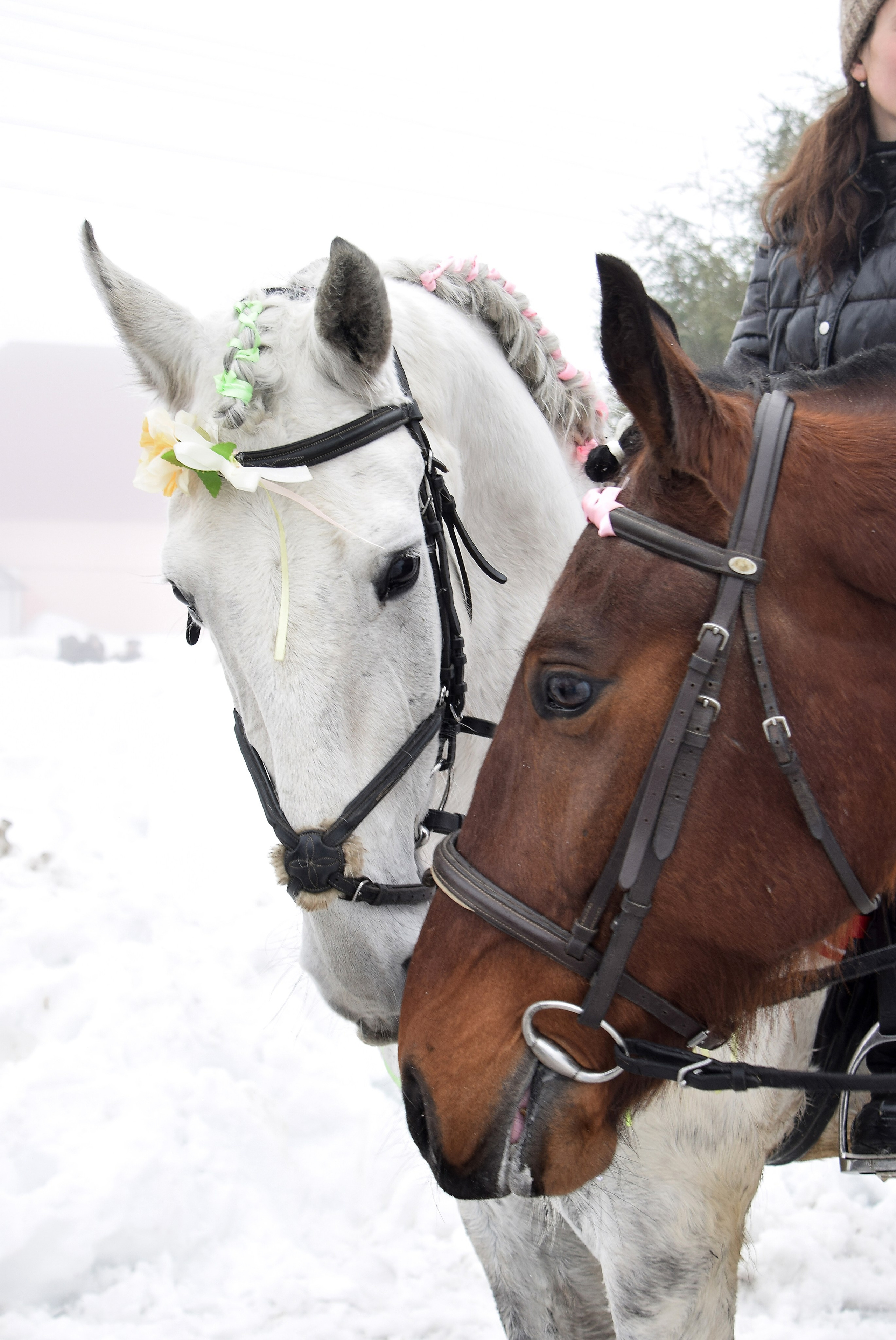 Масленица село Вязовка, 2019–2020 гг. Конный фотограф в Саратове Юлия Иванова