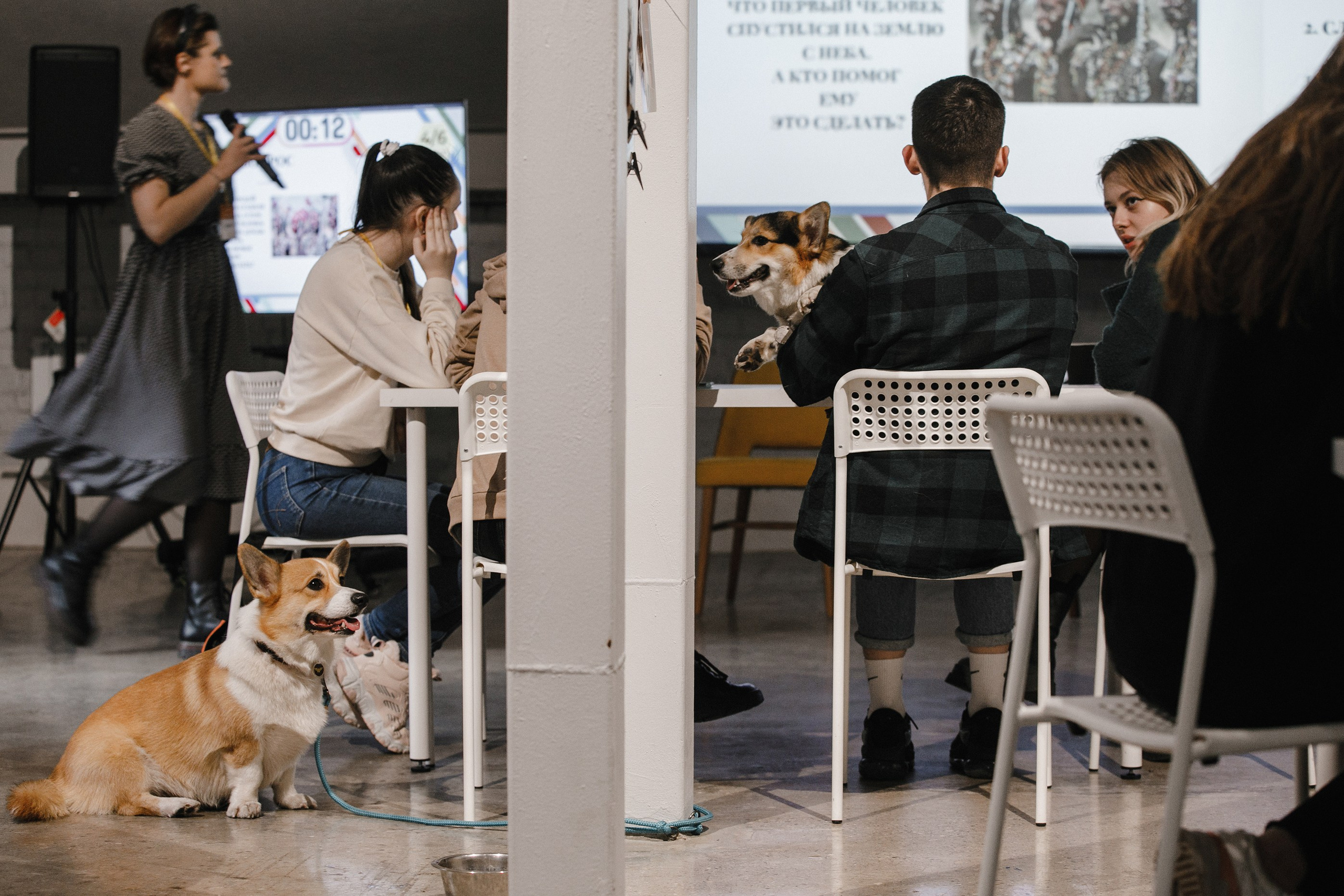 17.10.2021 // Дог-френдли день в Артплей. Фотовыставки serebro.gallery, в которых автором можешь стать ты! | Москва