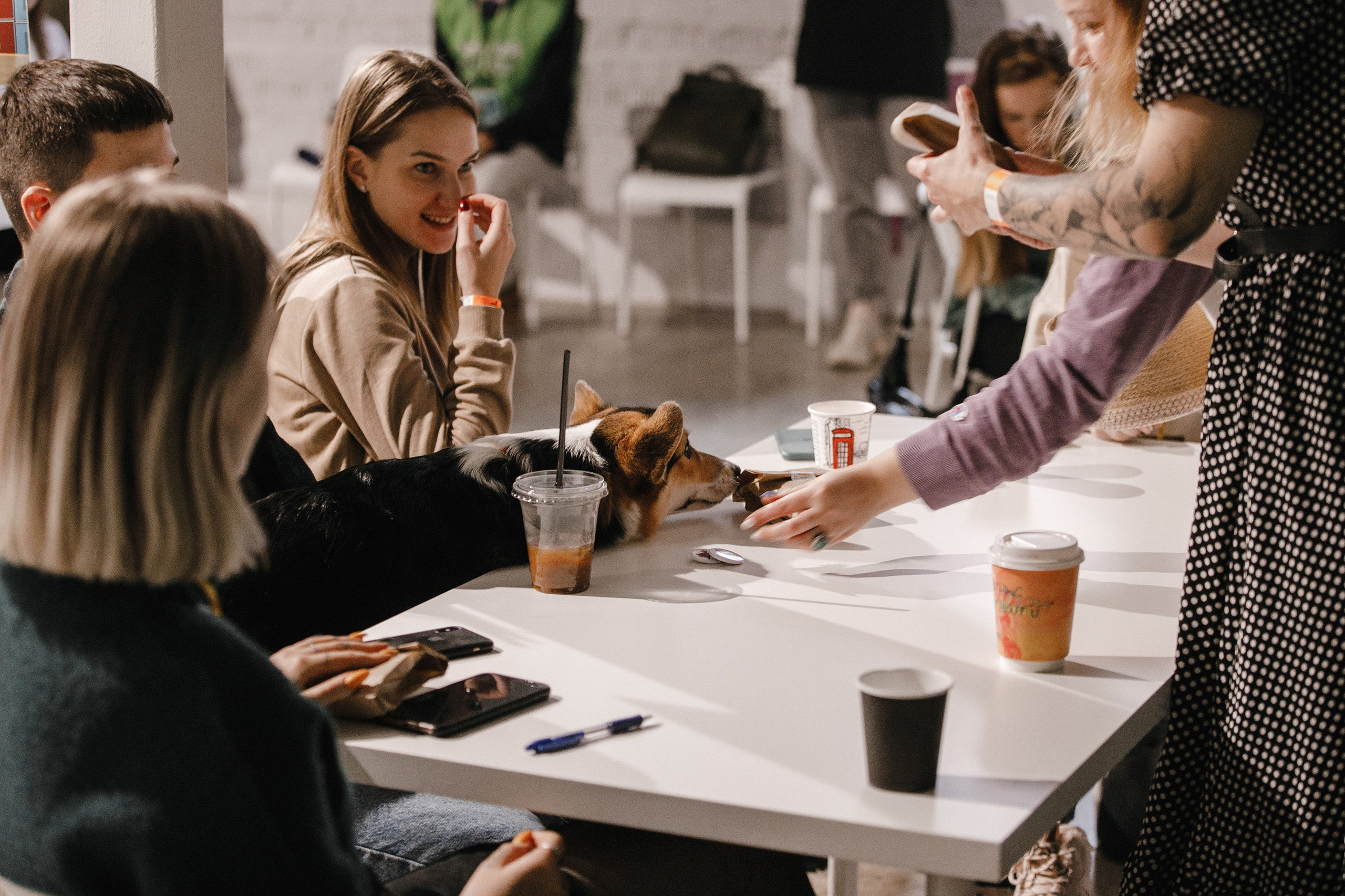 17.10.2021 // Дог-френдли день в Артплей. Фотовыставки serebro.gallery, в которых автором можешь стать ты! | Москва