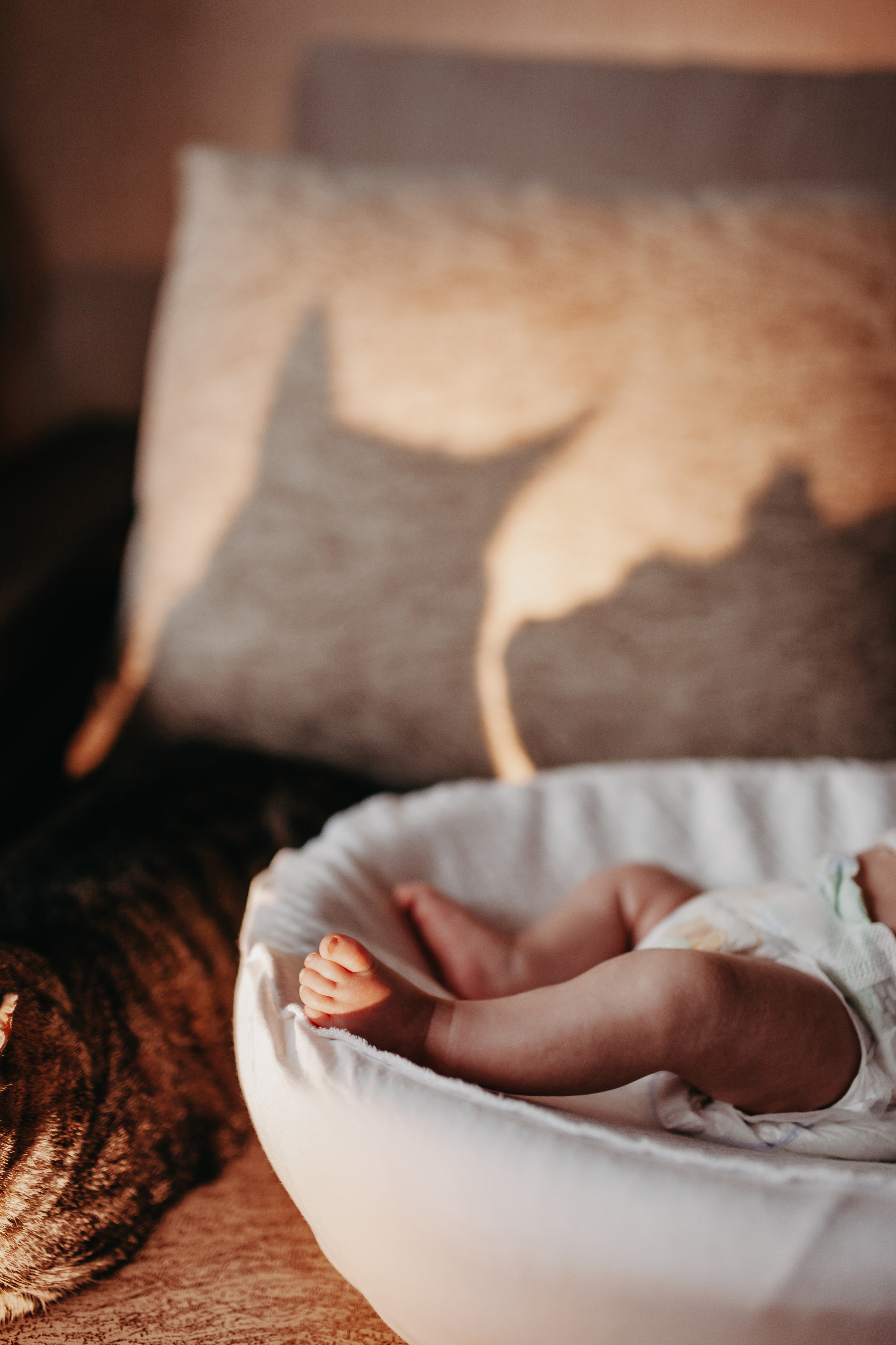 Фотосессия новорожденного в Тюмени. Фотограф Шелудкова Яна, город Тюмень