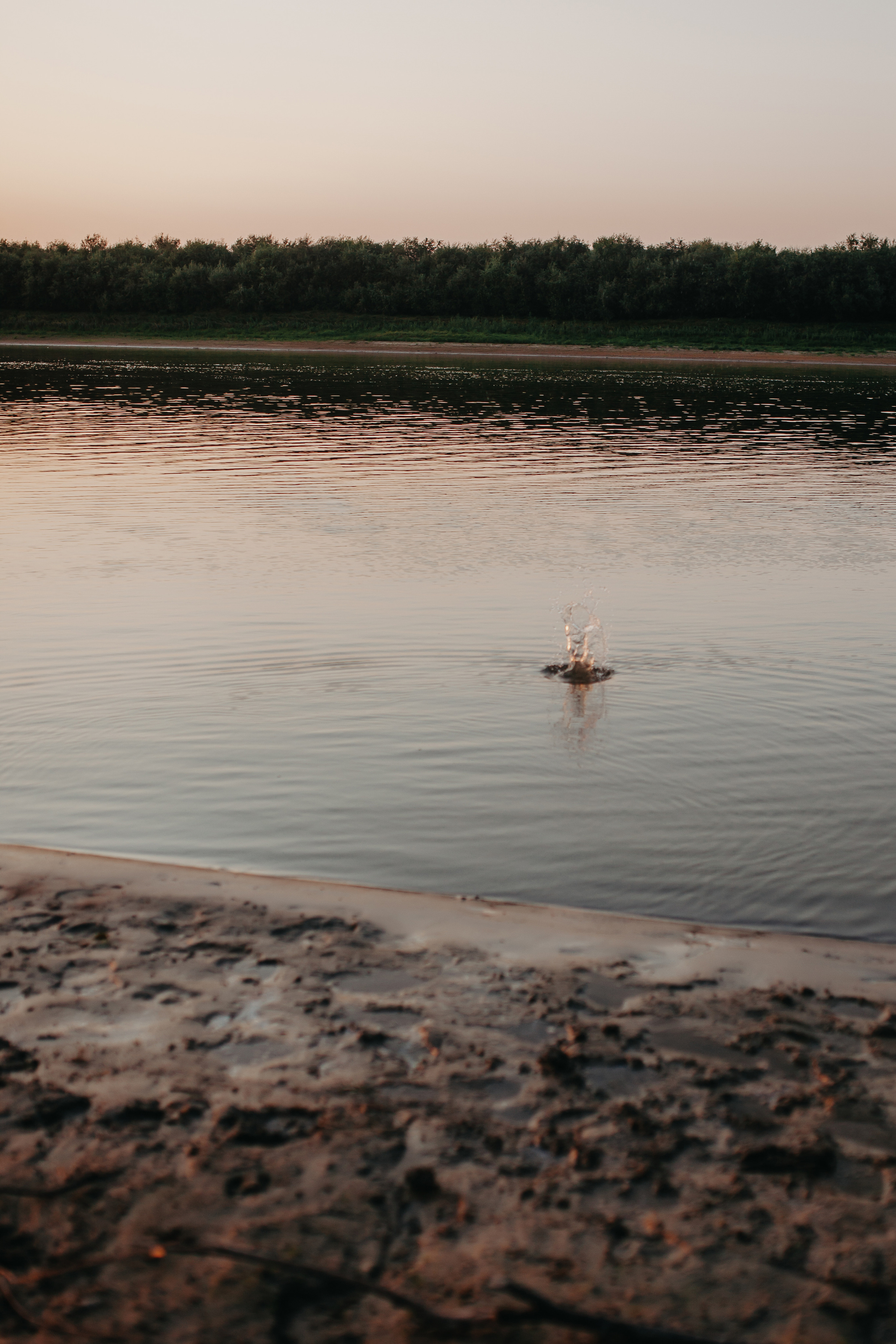 Семейная съёмка. Фотограф Шелудкова Яна, город Тюмень