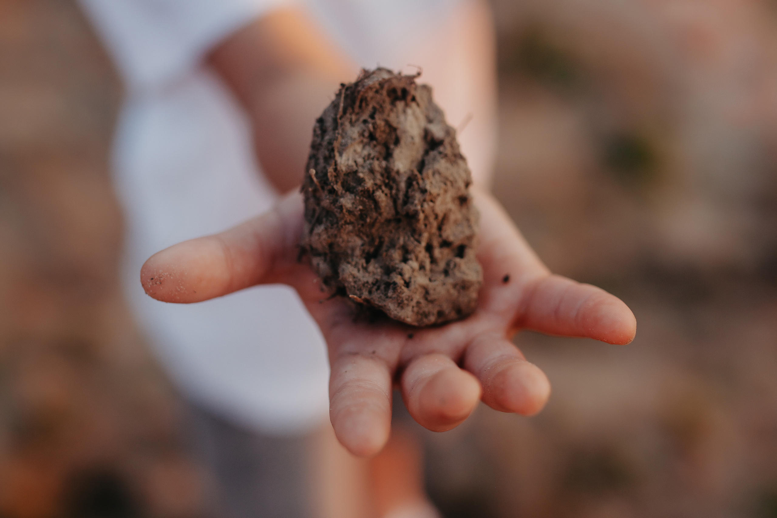 Семейная съёмка. Фотограф Шелудкова Яна, город Тюмень