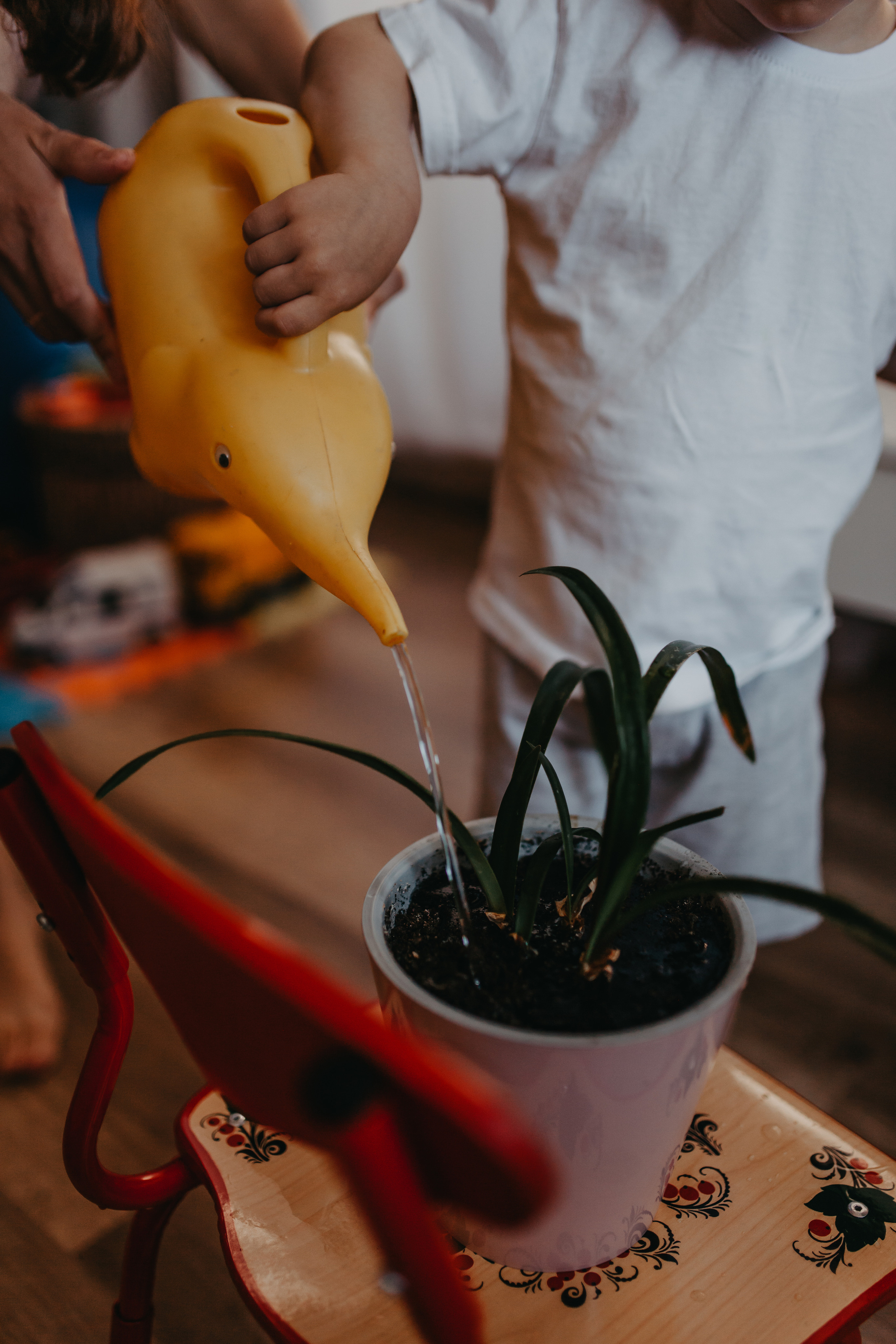 Максим. Фотограф Шелудкова Яна, город Тюмень