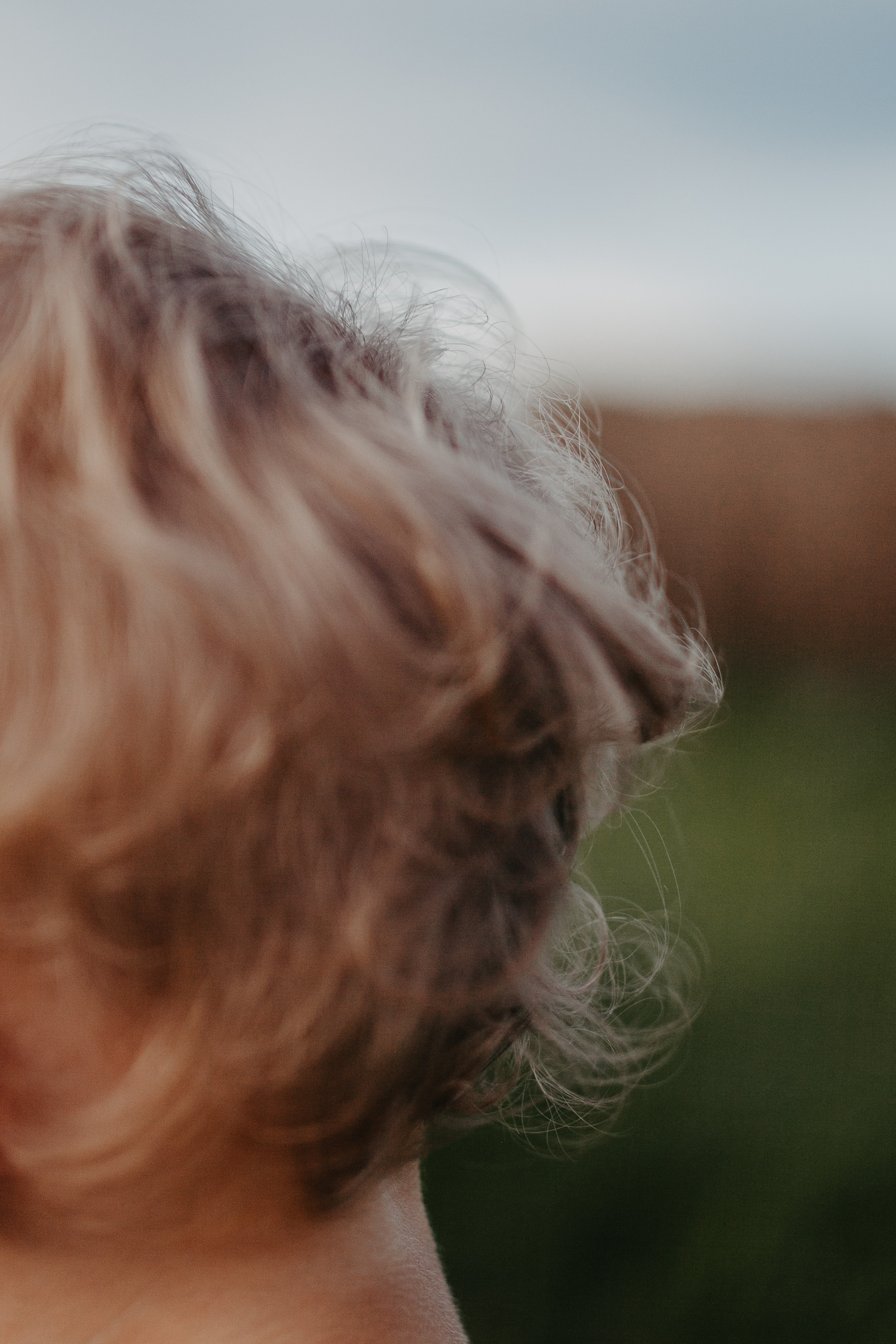 Даша, Лера и Саша. Фотограф Шелудкова Яна, город Тюмень