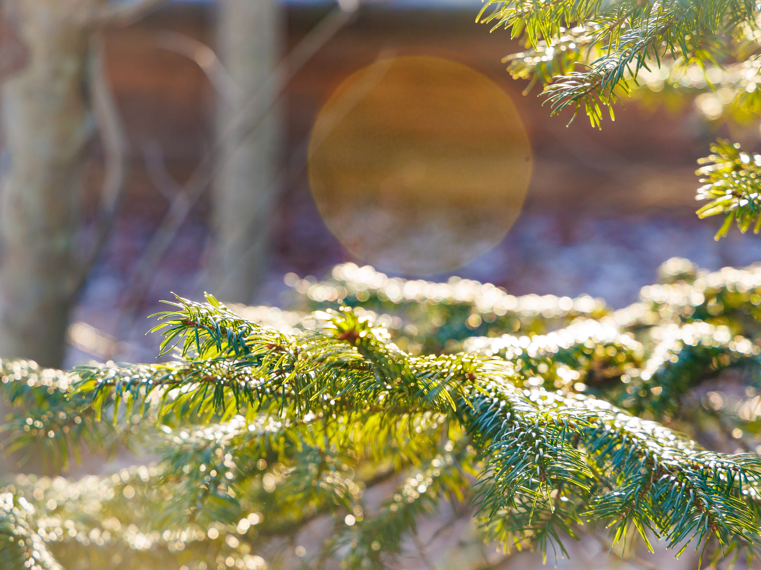 Патриот.слёт. Инга Кузьминская ТОП-фотограф г. Корсаков