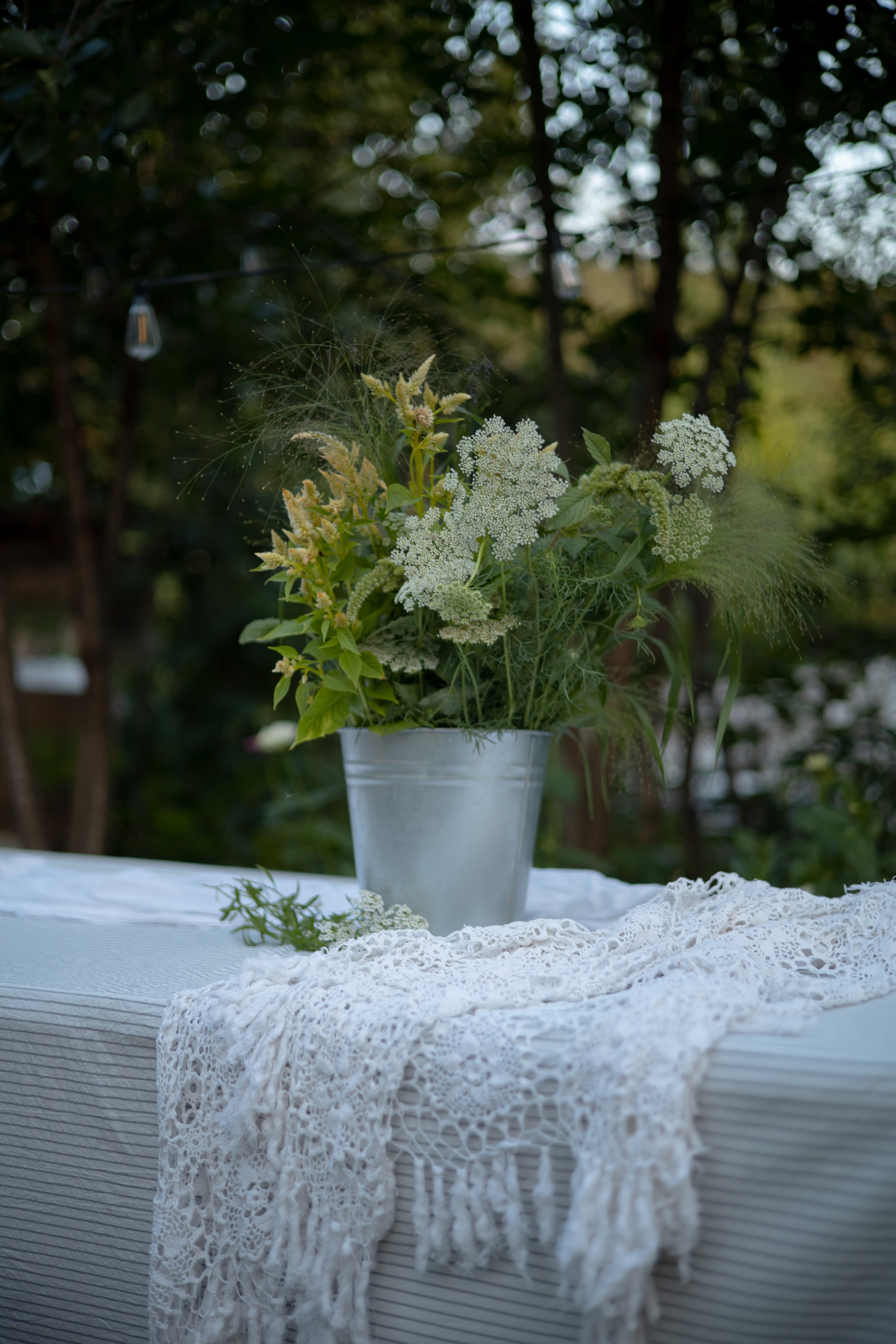 ДИНИЯ. Фотограф Элла Ефимова