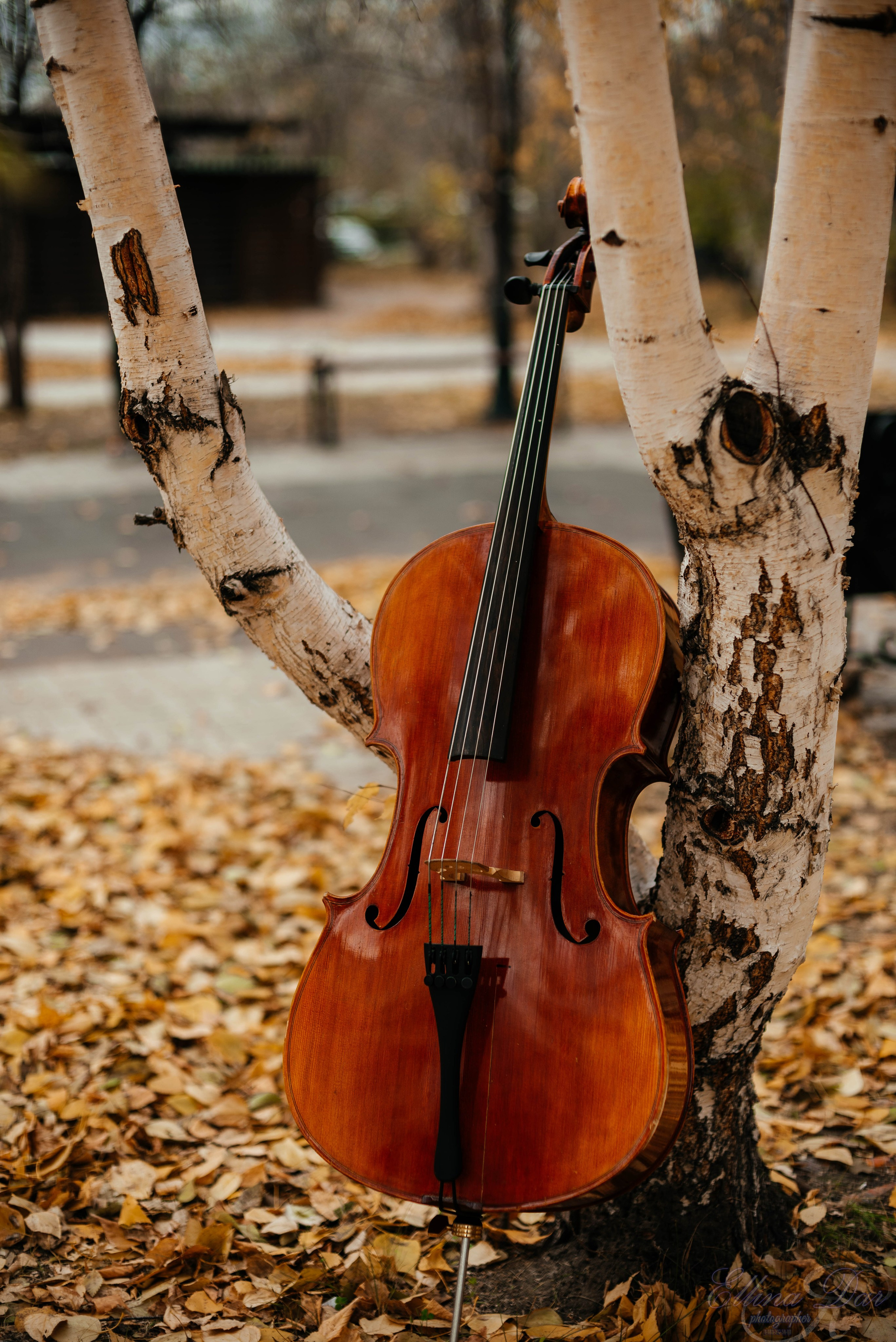 Аюмишка. Фотограф Эллина Дар г. Улан-Удэ