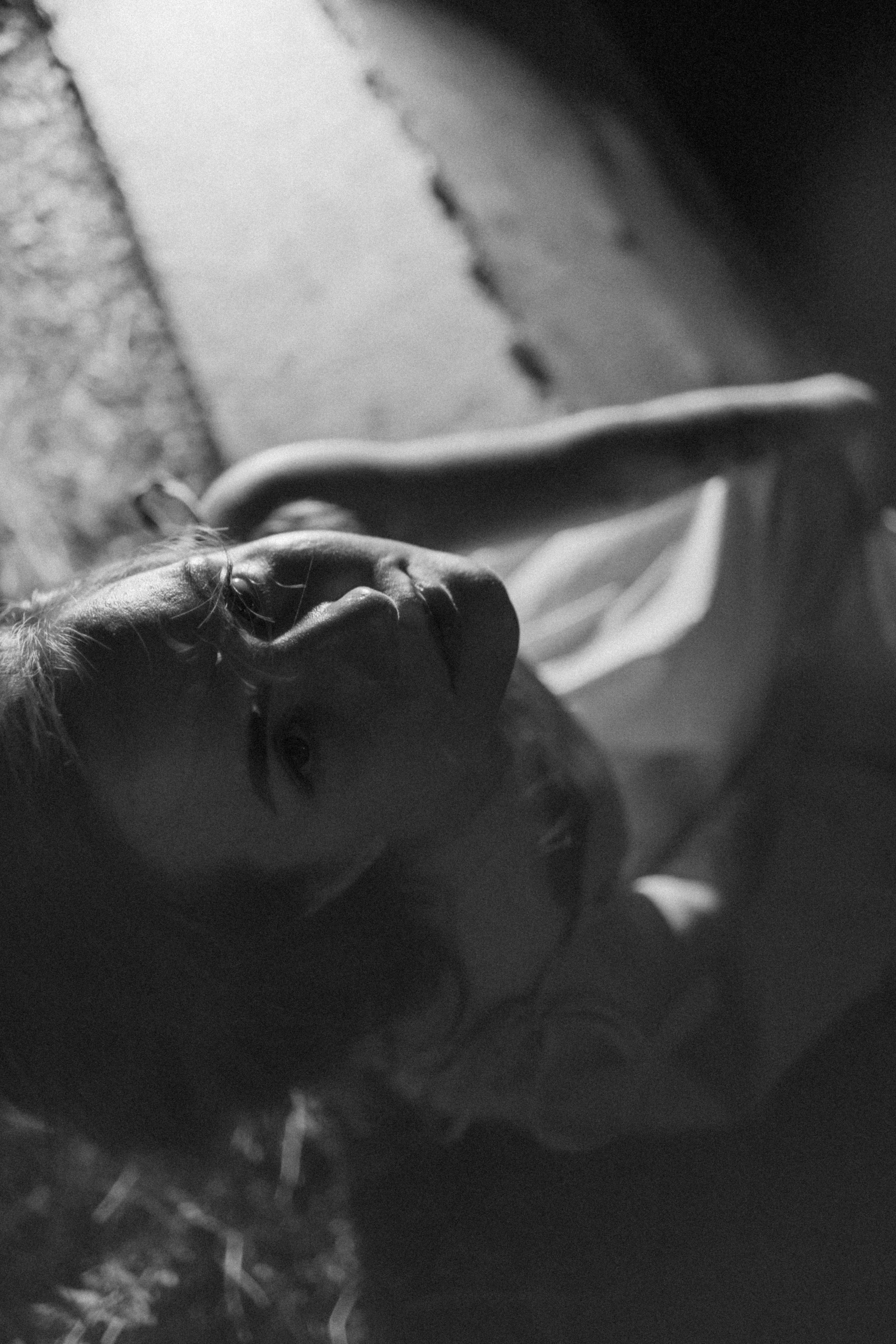 Алина. Da nang Photographer Sergey Zelēnkin