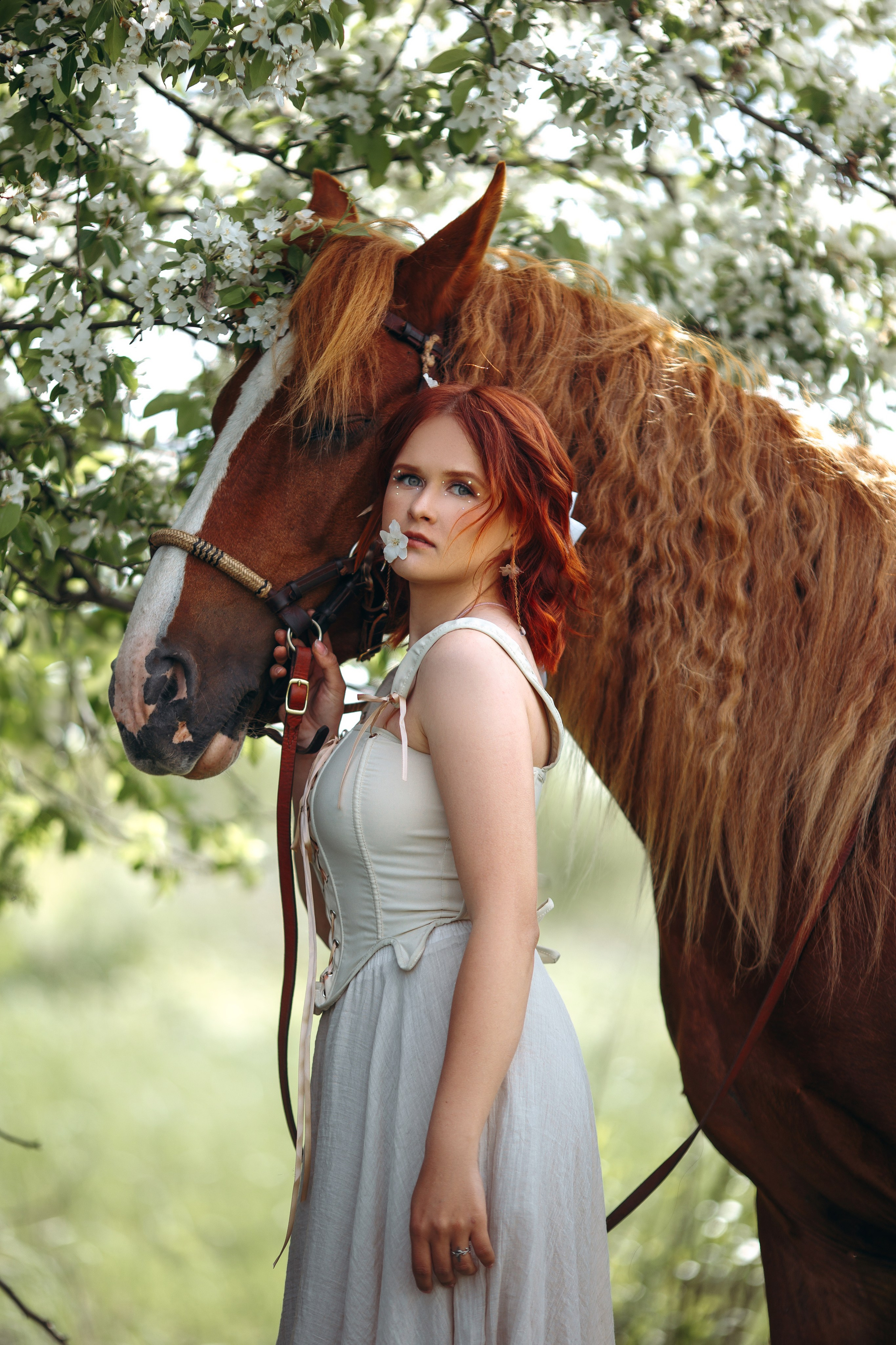 Весенние цветения. Анна Молчанова конный фотограф в Тюмени | фотосессии с лошадьми Тюмень