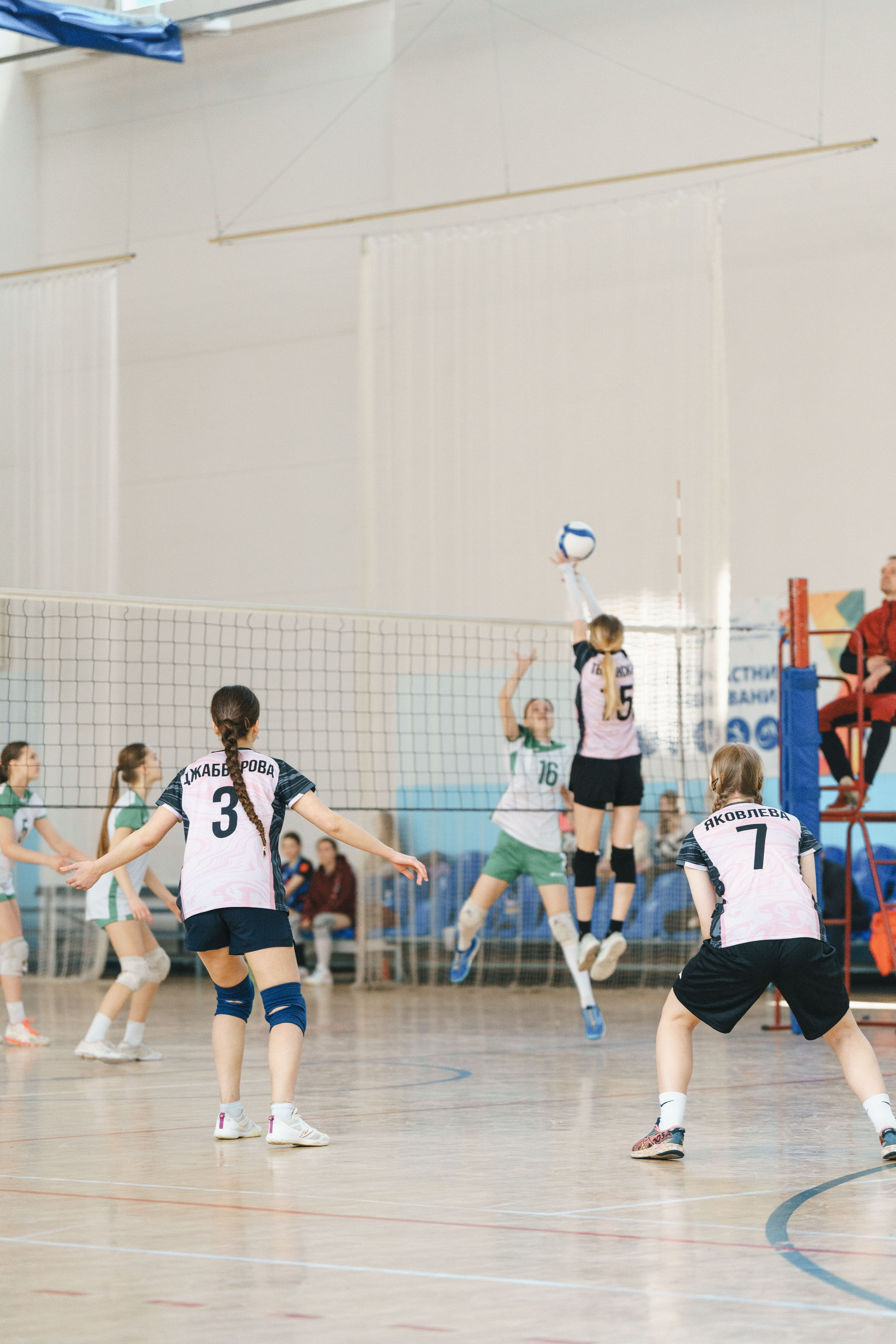 Волейбол торус. Фотограф-анималист в Санкт-Петербурге