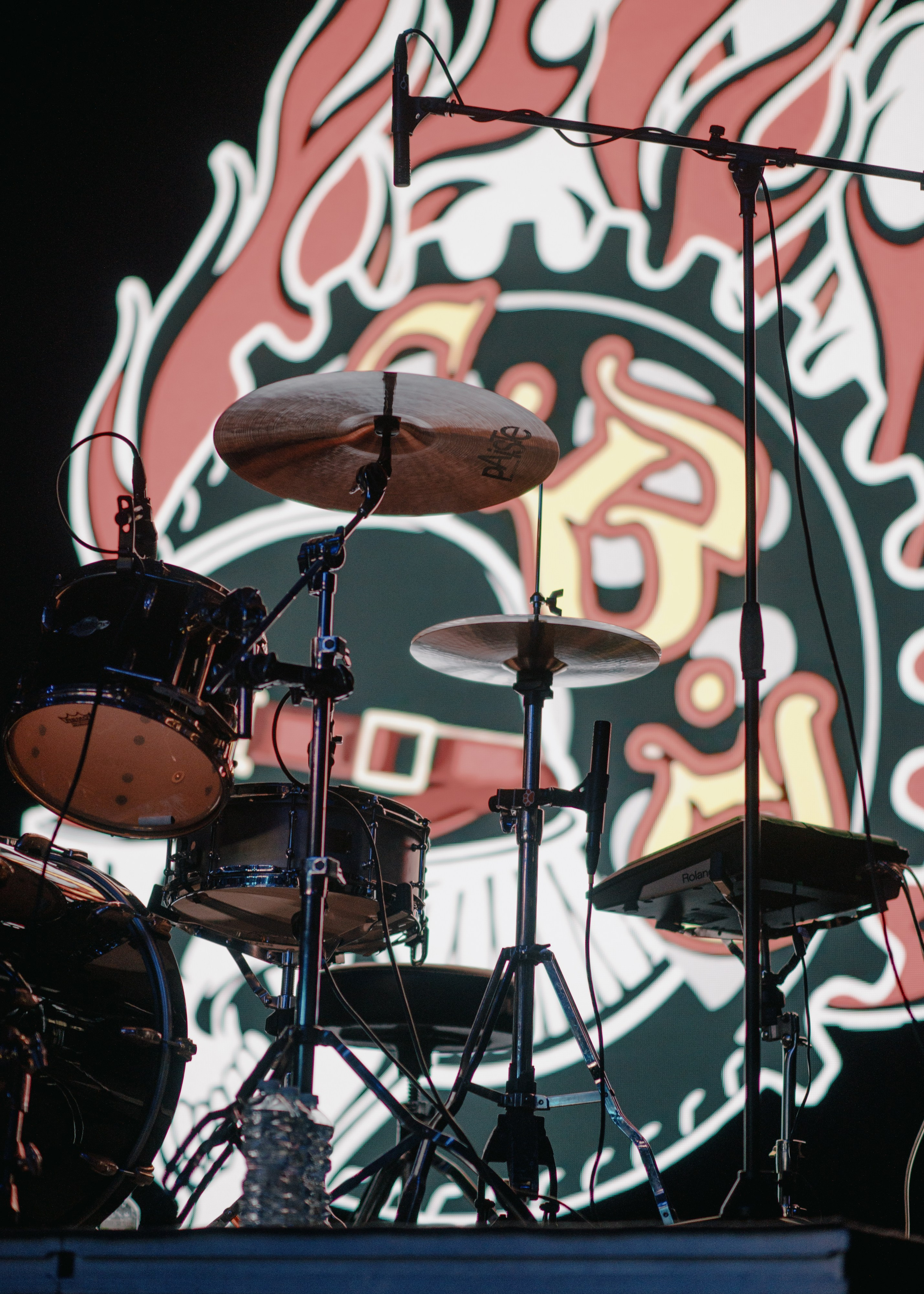 План Ломоносова GAUDI. Контент фотограф Илья Урс