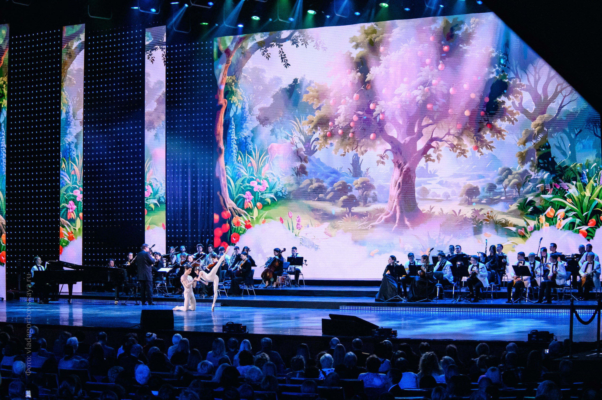 К 95-летию со дня рождения композитора Андрея Петрова. Бренд-фотограф для экспертов и блогеров в Москве Влада Горбовская