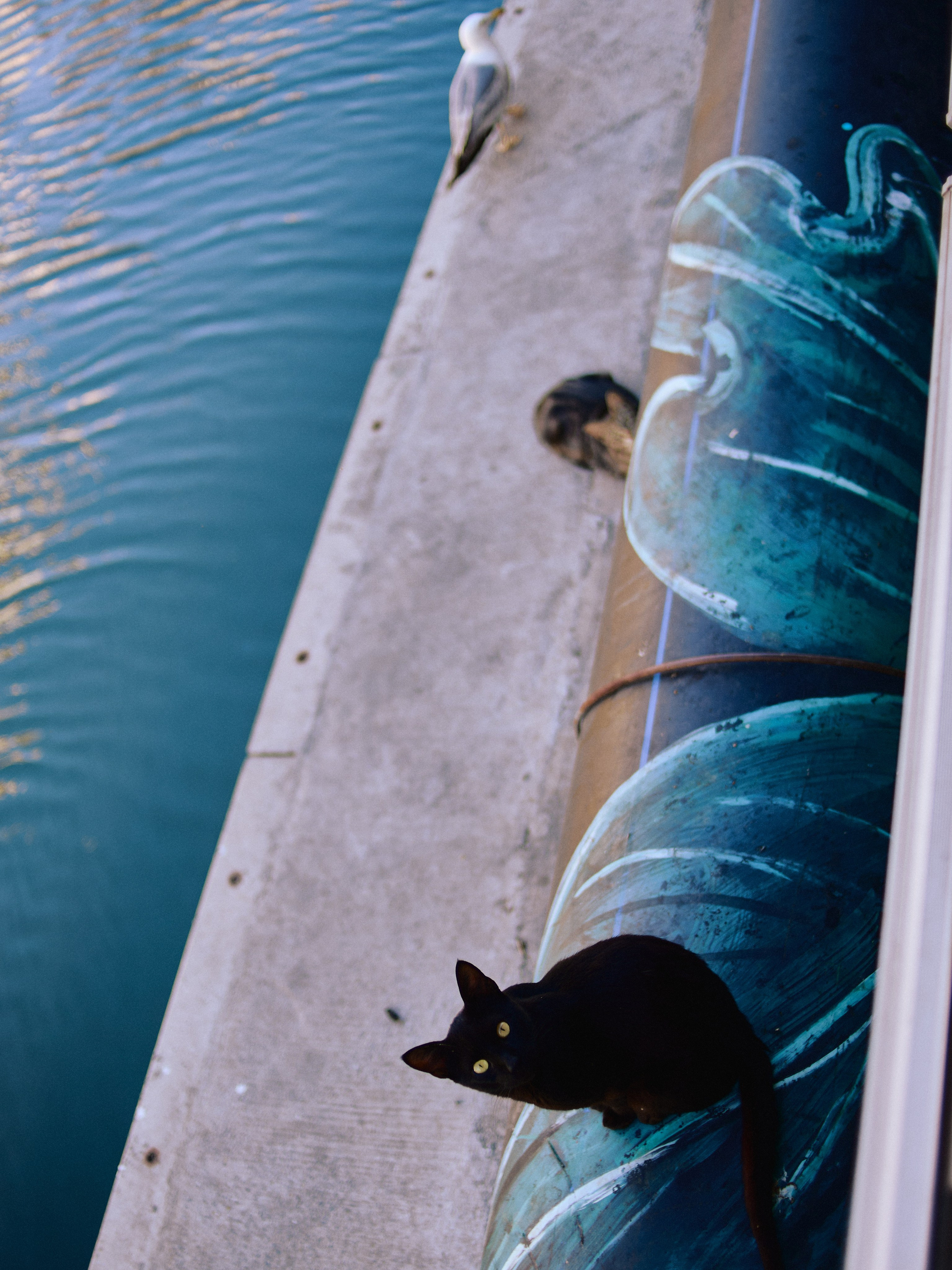 Другое 3. Jorgis Talè — photographer, kind person, teacher of arts and other mag